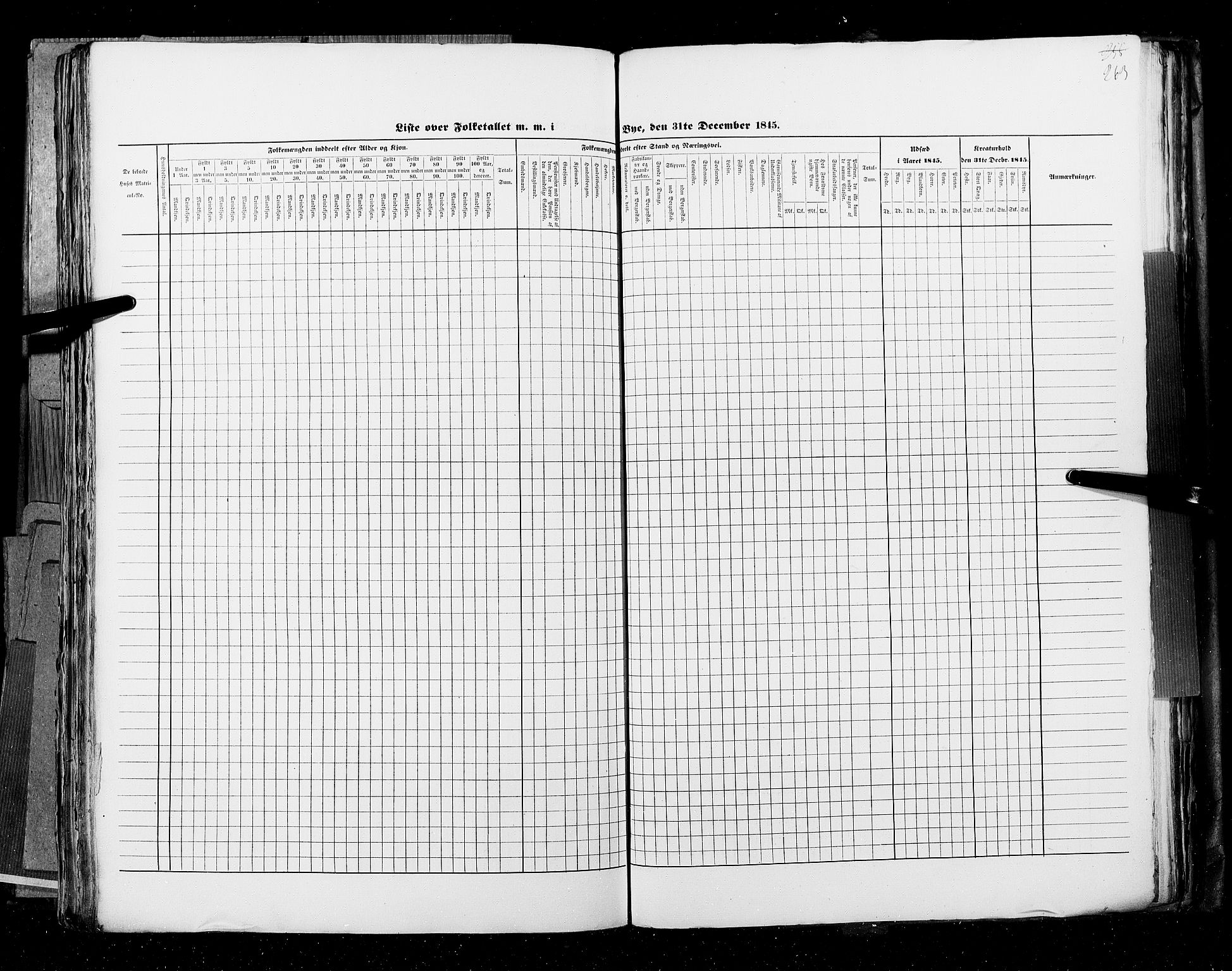 RA, Census 1845, vol. 11: Cities, 1845, p. 263