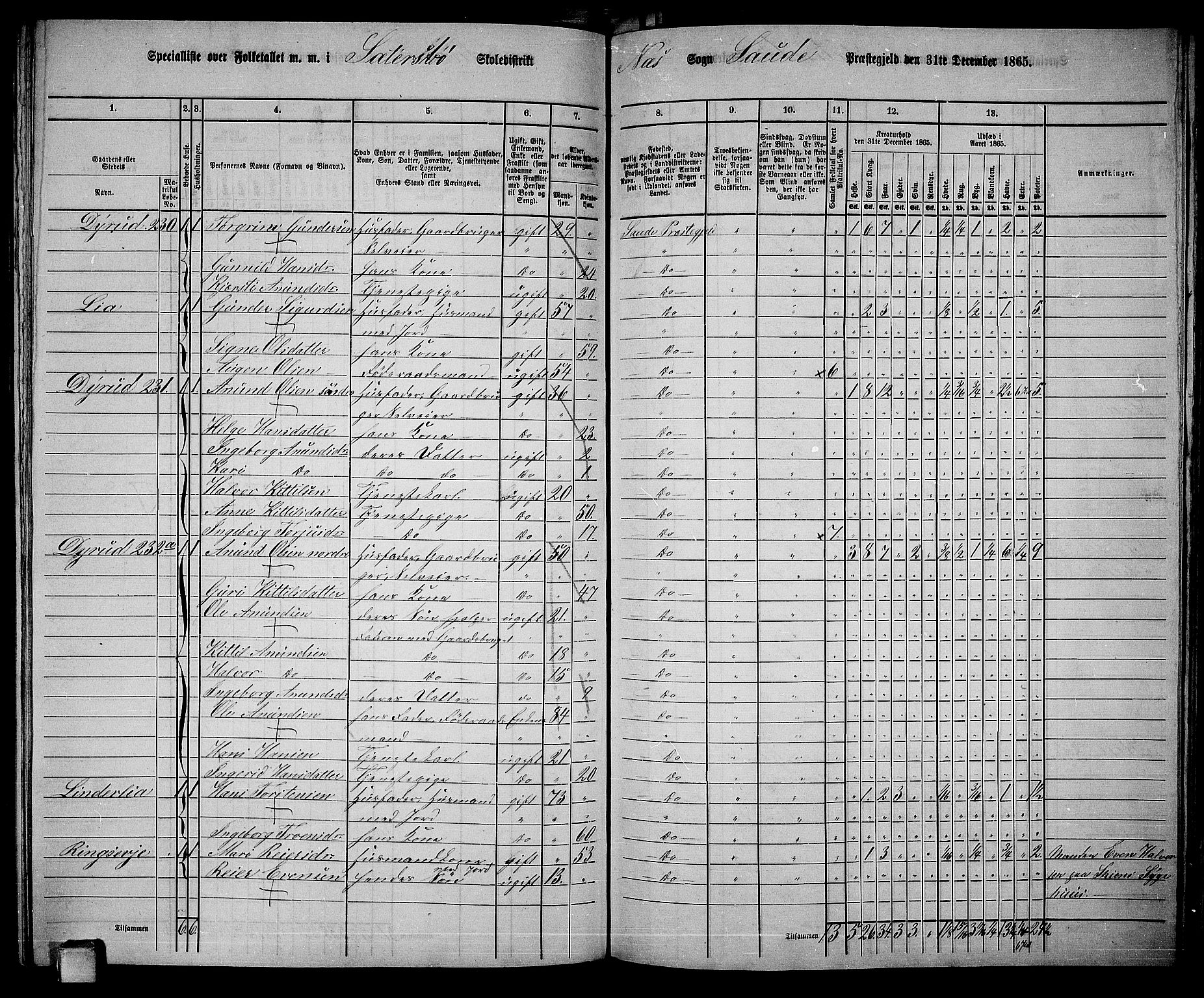 RA, 1865 census for Sauherad, 1865, p. 136