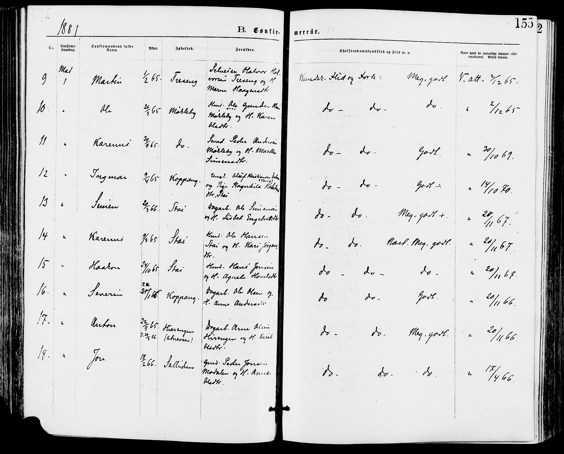Stor-Elvdal prestekontor, SAH/PREST-052/H/Ha/Haa/L0001: Parish register (official) no. 1, 1871-1882, p. 155