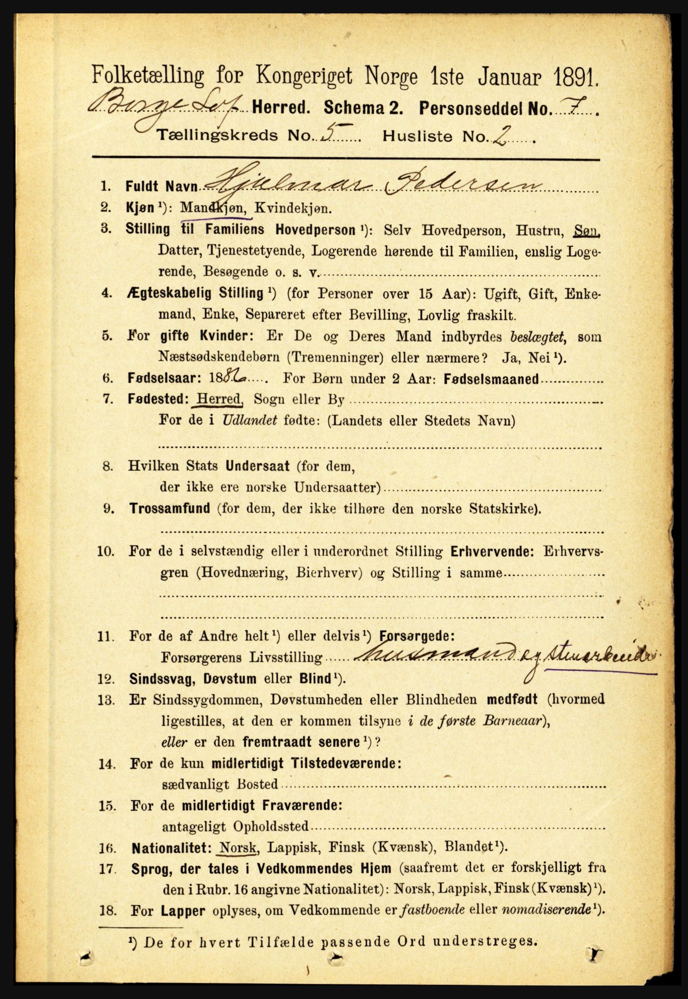 RA, 1891 census for 1862 Borge, 1891, p. 3091