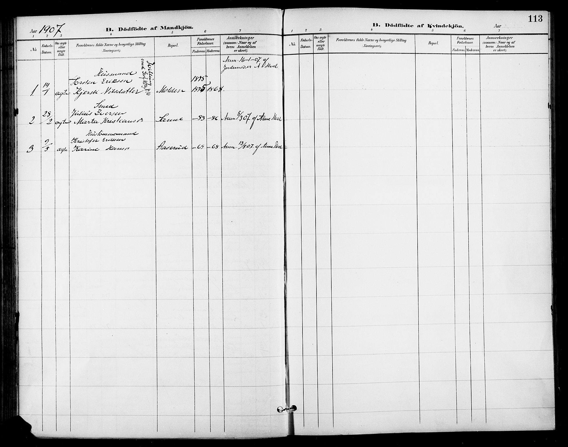 Gran prestekontor, SAH/PREST-112/H/Ha/Haa/L0019: Parish register (official) no. 19, 1898-1907, p. 113