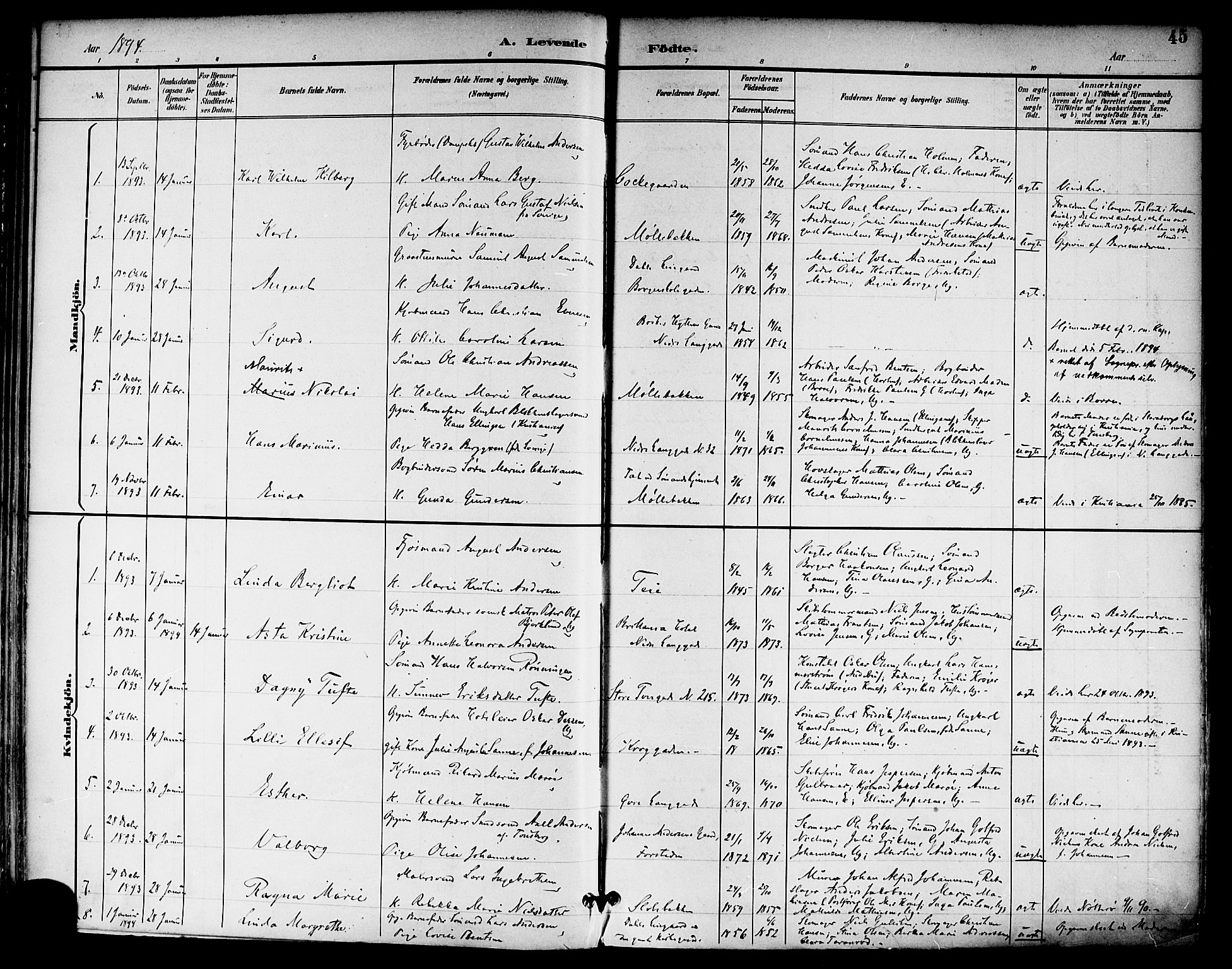 Tønsberg kirkebøker, SAKO/A-330/F/Fa/L0012: Parish register (official) no. I 12, 1891-1899, p. 45