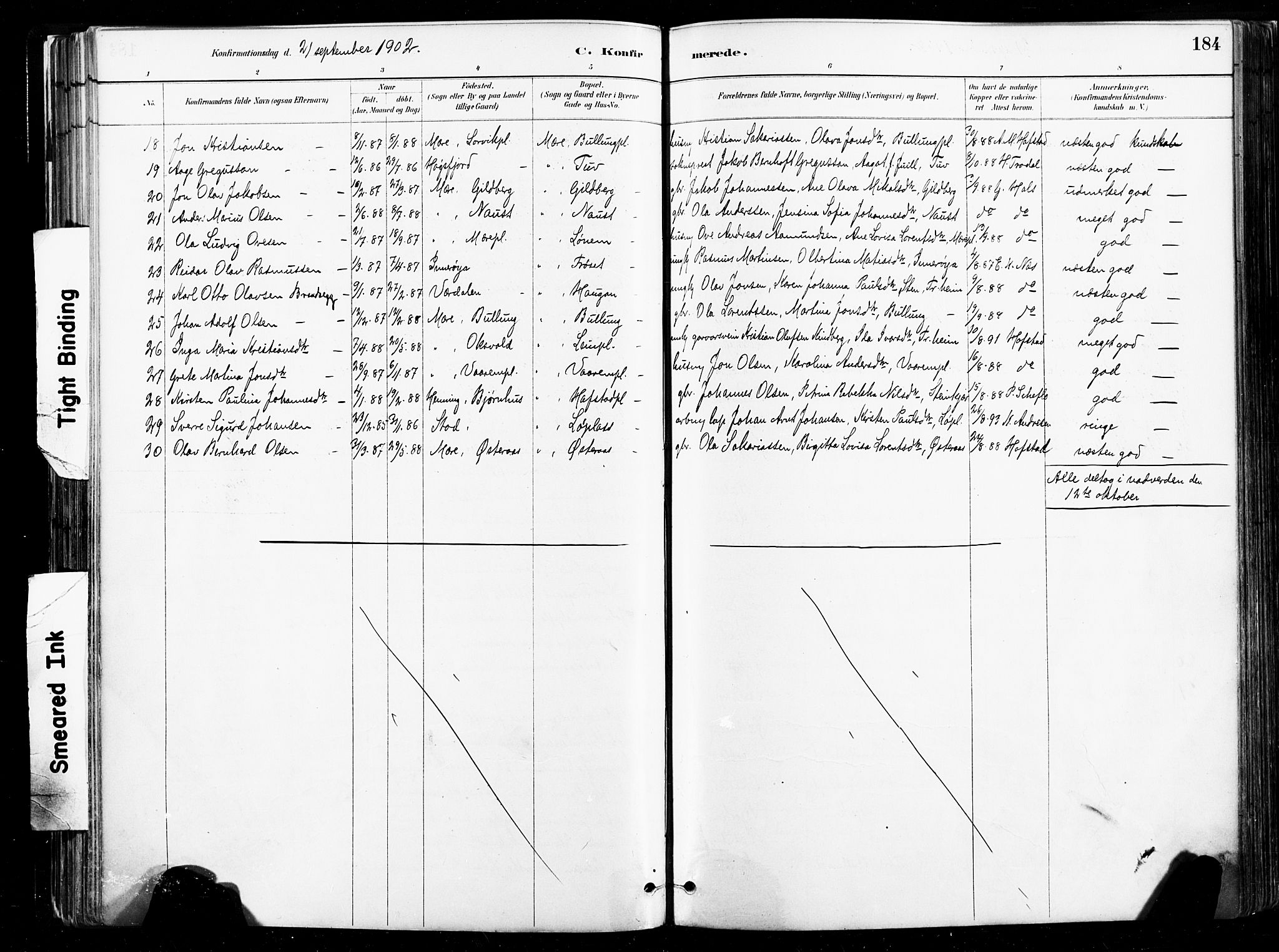 Ministerialprotokoller, klokkerbøker og fødselsregistre - Nord-Trøndelag, SAT/A-1458/735/L0351: Parish register (official) no. 735A10, 1884-1908, p. 184