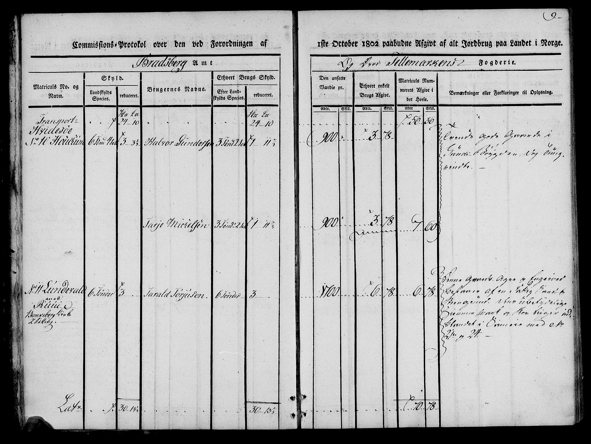 Rentekammeret inntil 1814, Realistisk ordnet avdeling, AV/RA-EA-4070/N/Ne/Nea/L0075: Øvre Telemarken fogderi. Kommisjonsprotokoll for fogderiets vestre del - Kviteseid, Vinje, Moland [):Fyresdal] og Lårdal prestegjeld., 1803, p. 9