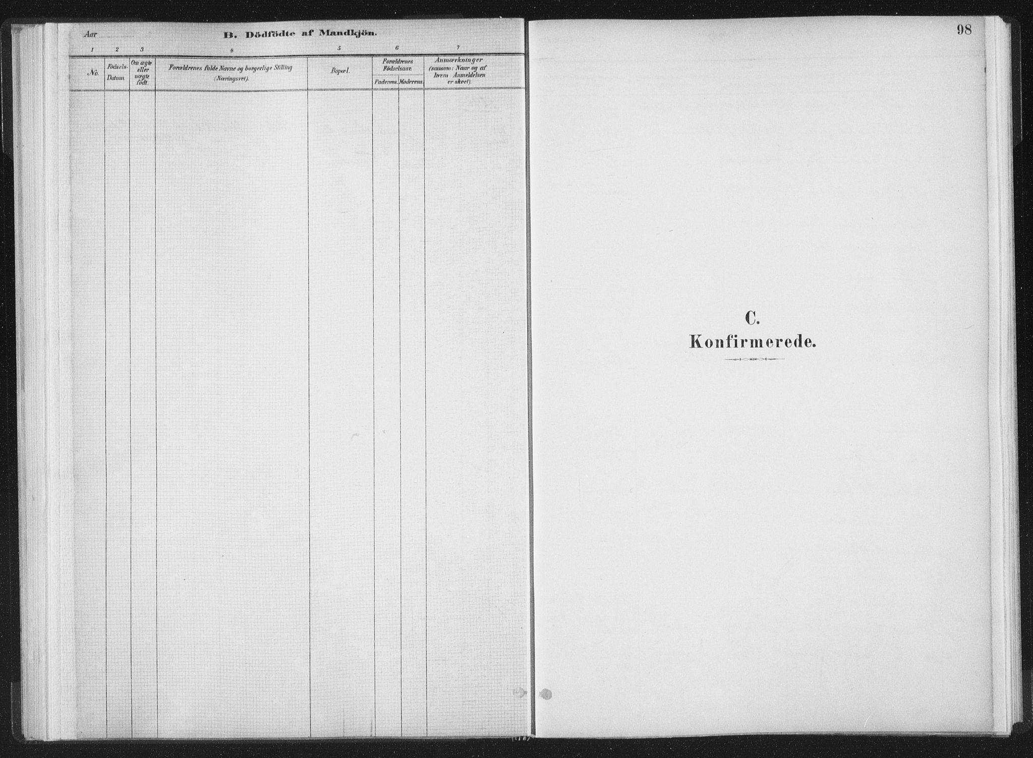 Ministerialprotokoller, klokkerbøker og fødselsregistre - Møre og Romsdal, SAT/A-1454/564/L0740: Parish register (official) no. 564A01, 1880-1899, p. 98