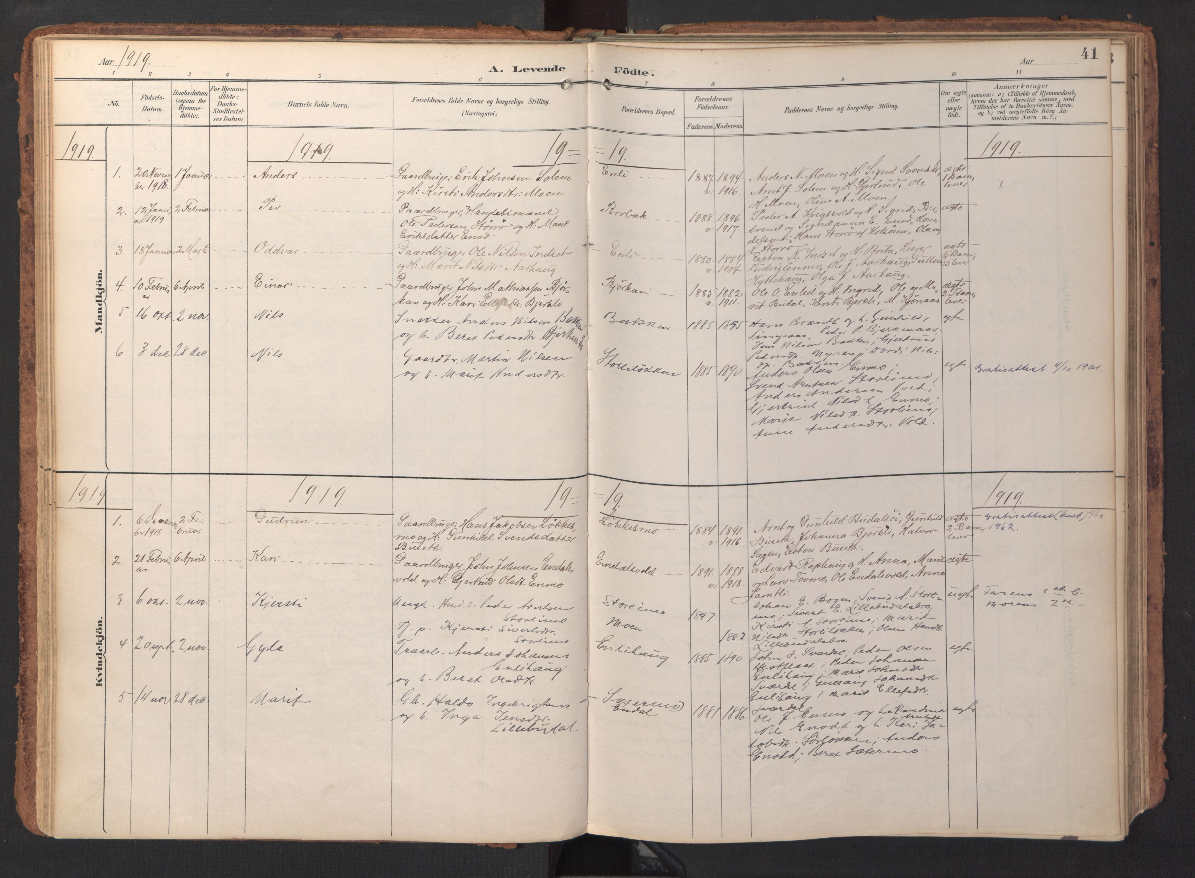 Ministerialprotokoller, klokkerbøker og fødselsregistre - Sør-Trøndelag, AV/SAT-A-1456/690/L1050: Parish register (official) no. 690A01, 1889-1929, p. 41