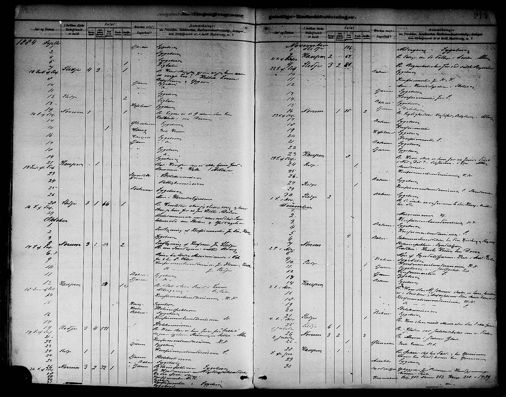 Sogndal sokneprestembete, AV/SAB-A-81301/H/Haa/Haab/L0001: Parish register (official) no. B 1, 1878-1899, p. 213