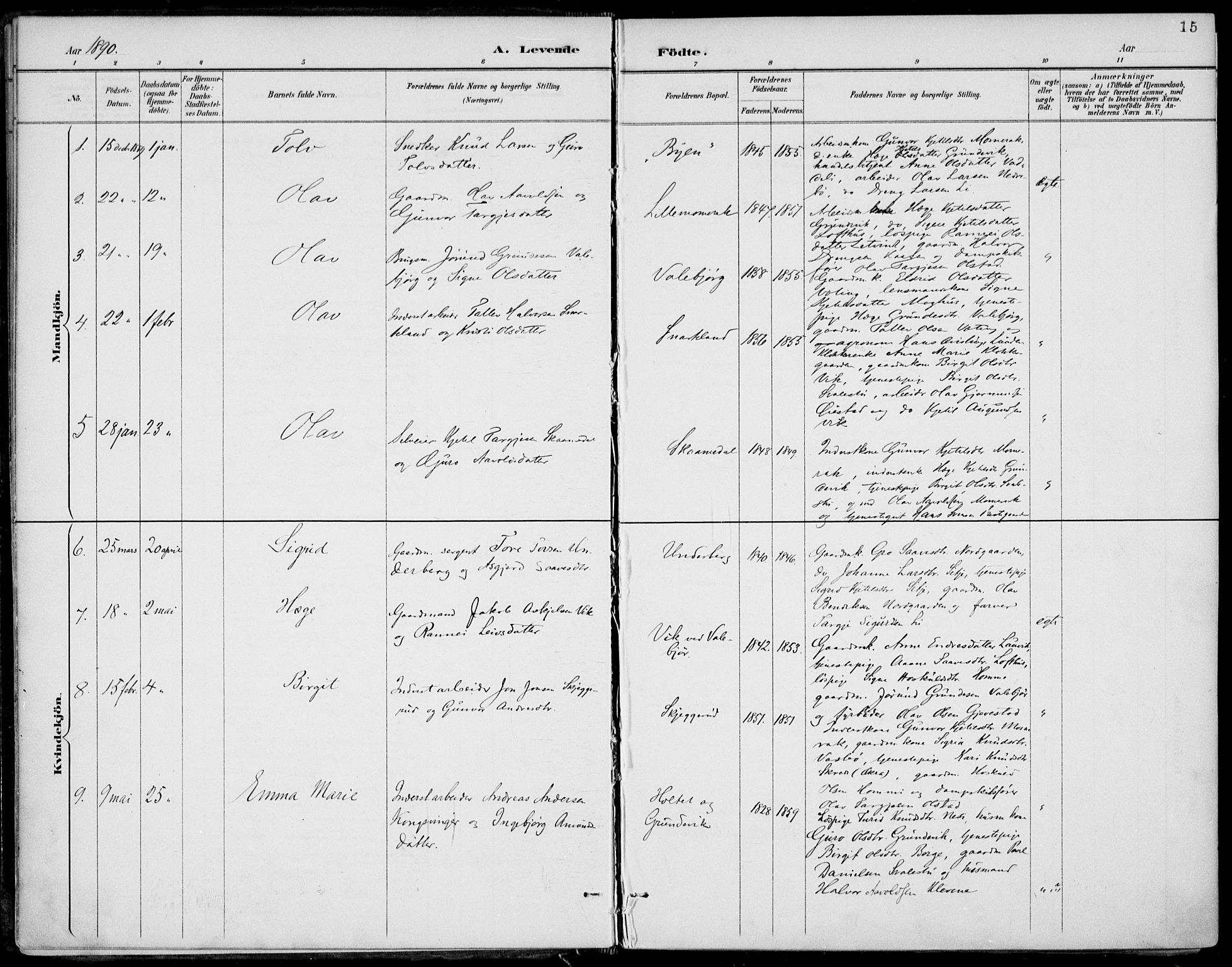 Fyresdal kirkebøker, AV/SAKO-A-263/F/Fa/L0007: Parish register (official) no. I 7, 1887-1914, p. 15