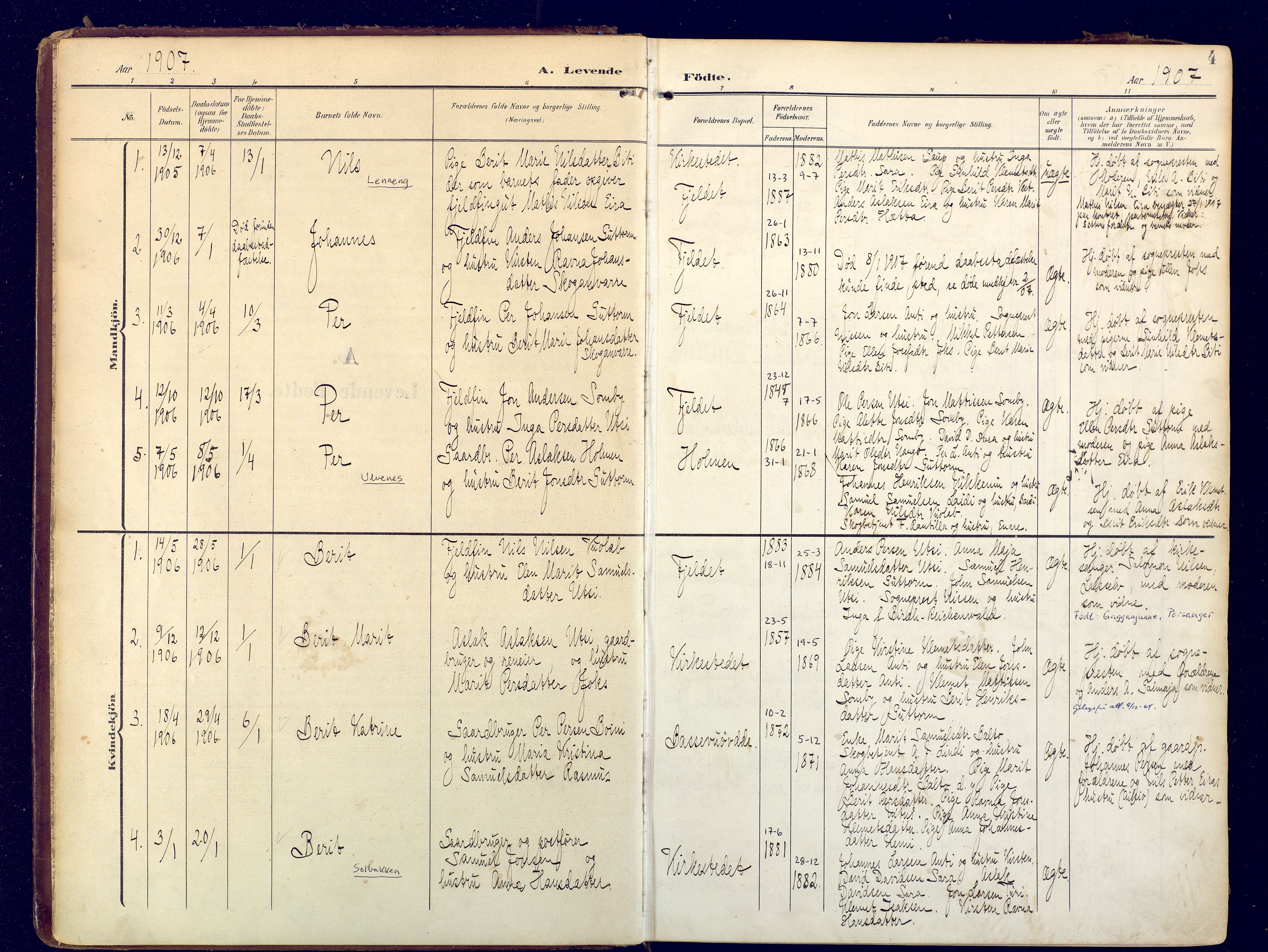 Karasjok sokneprestkontor, SATØ/S-1352/H/Ha: Parish register (official) no. 3, 1907-1926, p. 4