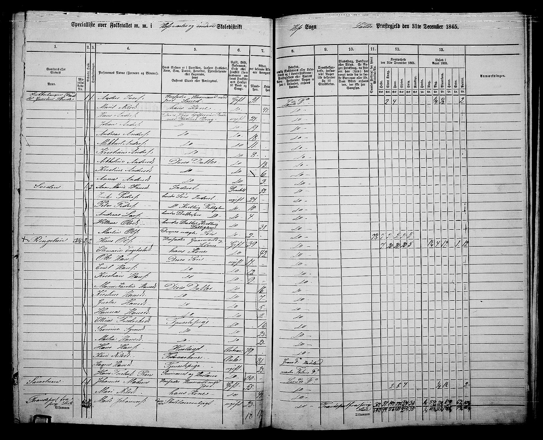 RA, 1865 census for Land, 1865, p. 405