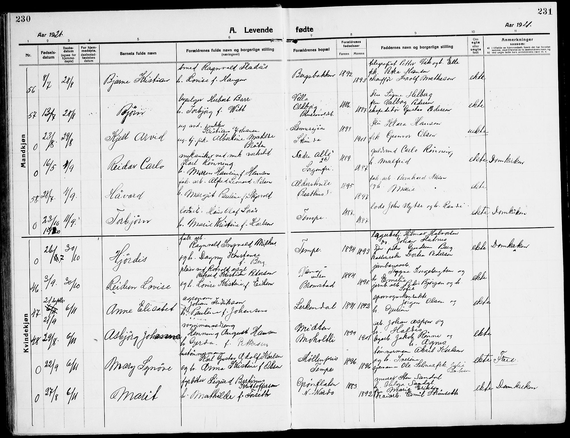 Ministerialprotokoller, klokkerbøker og fødselsregistre - Sør-Trøndelag, AV/SAT-A-1456/607/L0321: Parish register (official) no. 607A05, 1916-1935, p. 230-231