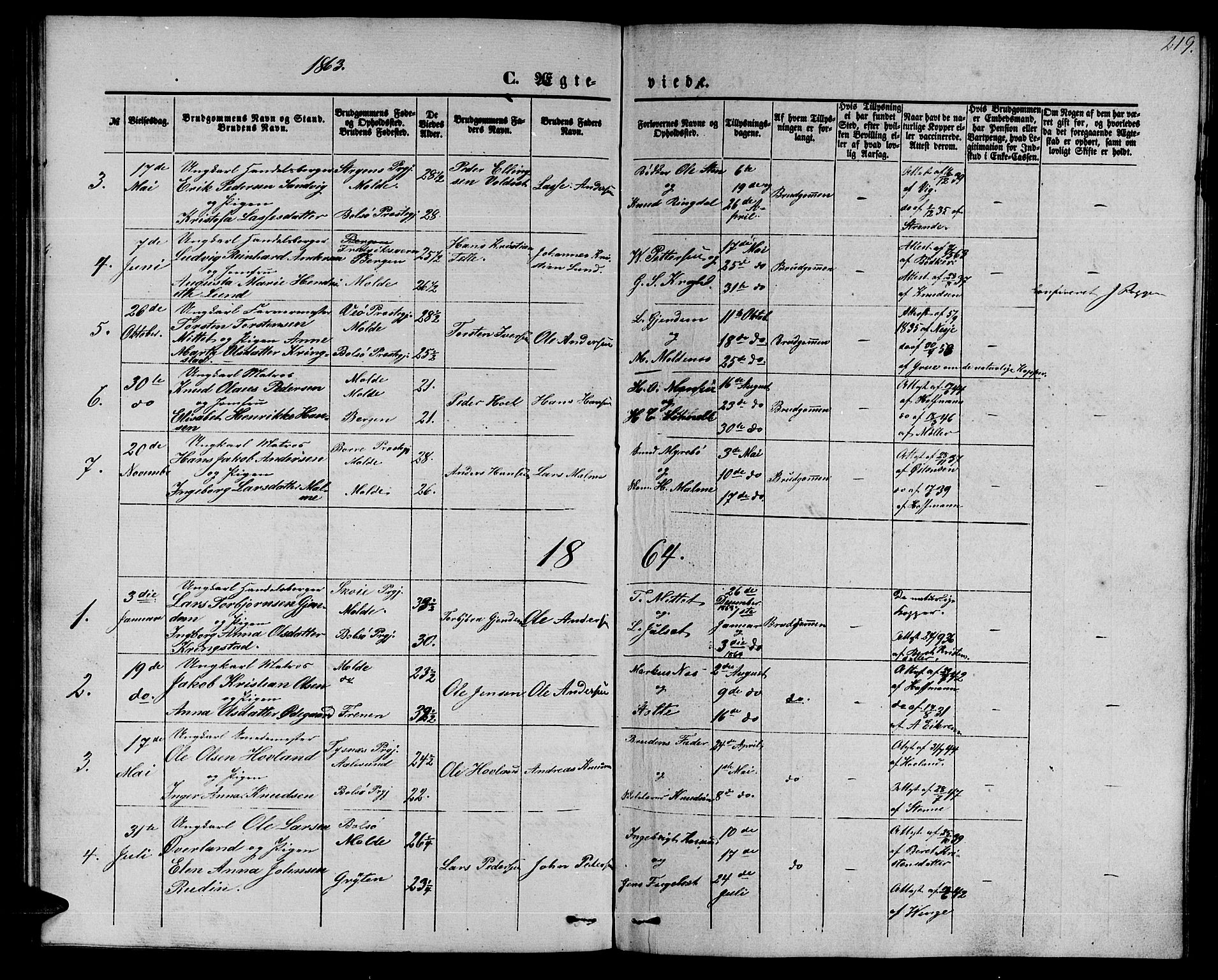 Ministerialprotokoller, klokkerbøker og fødselsregistre - Møre og Romsdal, AV/SAT-A-1454/558/L0701: Parish register (copy) no. 558C02, 1862-1879, p. 219