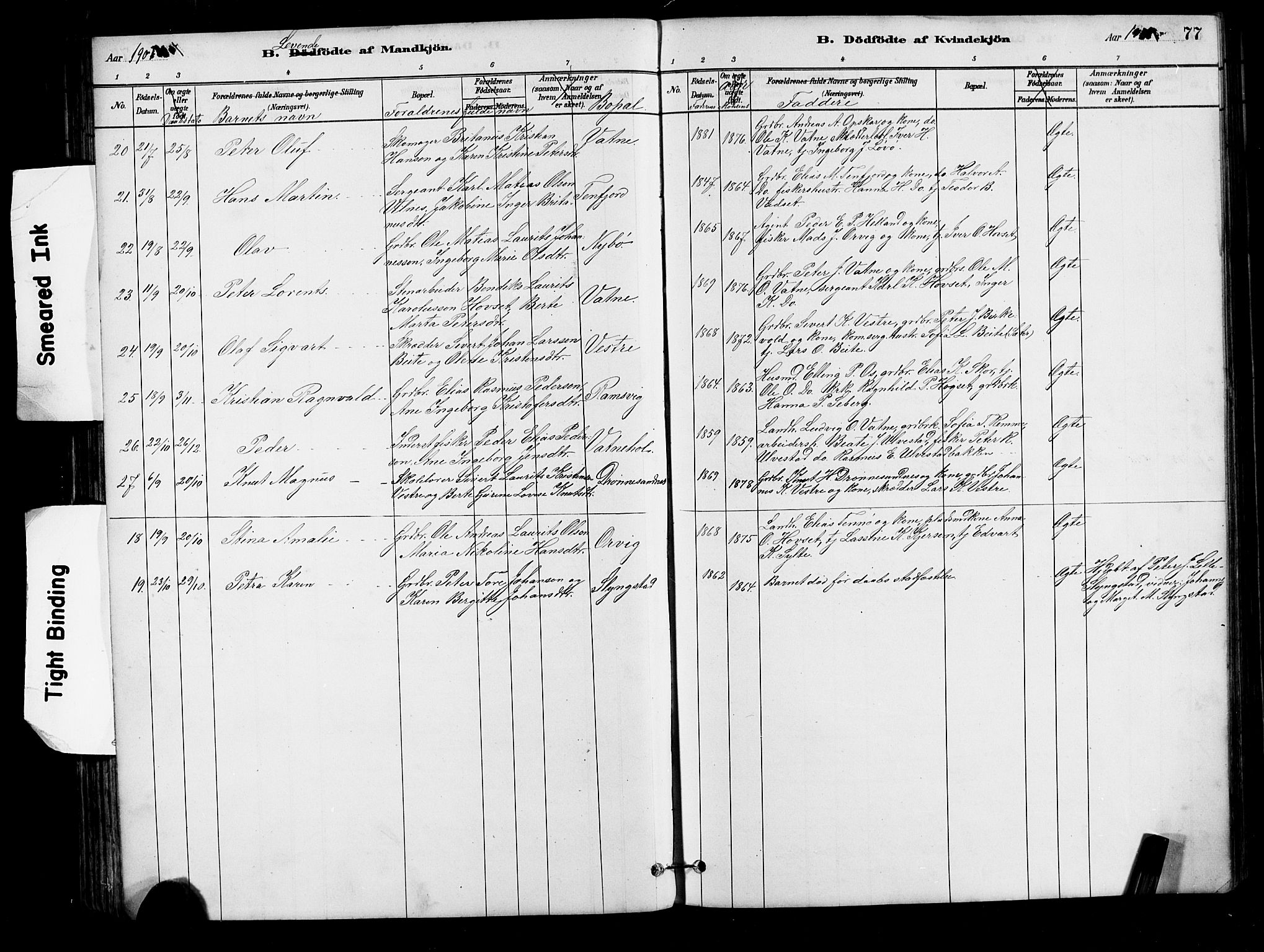 Ministerialprotokoller, klokkerbøker og fødselsregistre - Møre og Romsdal, AV/SAT-A-1454/525/L0376: Parish register (copy) no. 525C02, 1880-1902, p. 77