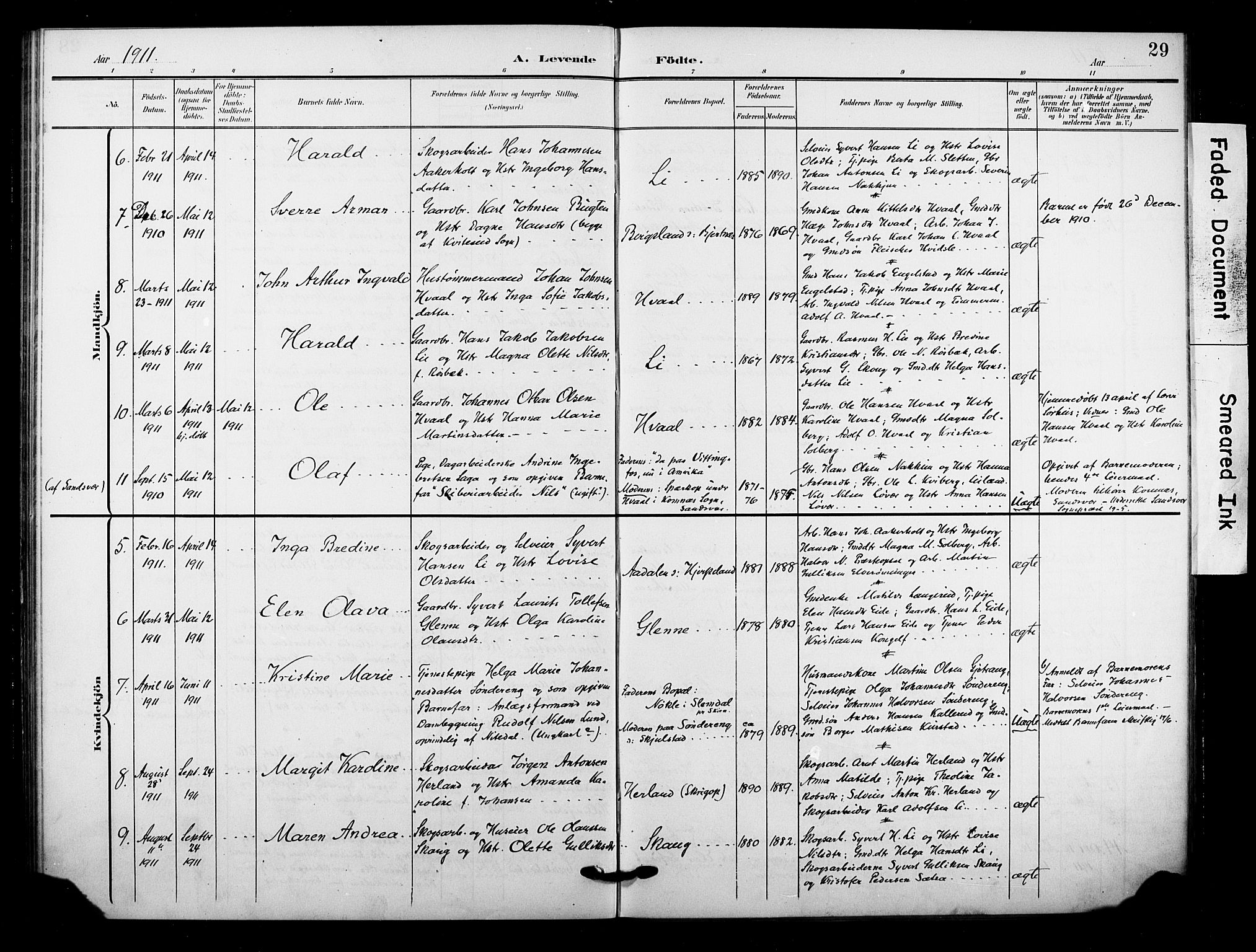 Lardal kirkebøker, AV/SAKO-A-350/F/Fb/L0002: Parish register (official) no. II 2, 1903-1911, p. 29