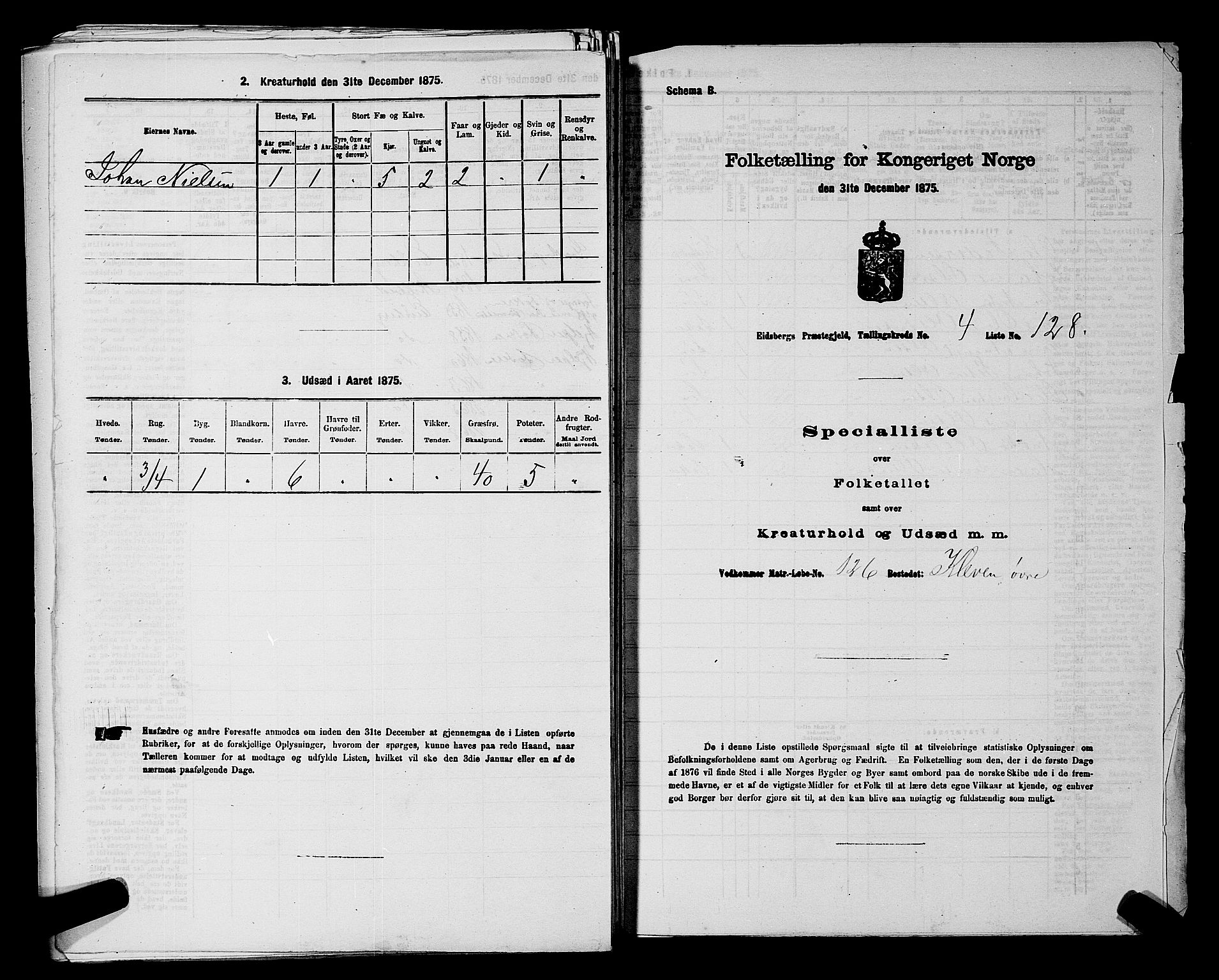 RA, 1875 census for 0125P Eidsberg, 1875, p. 893