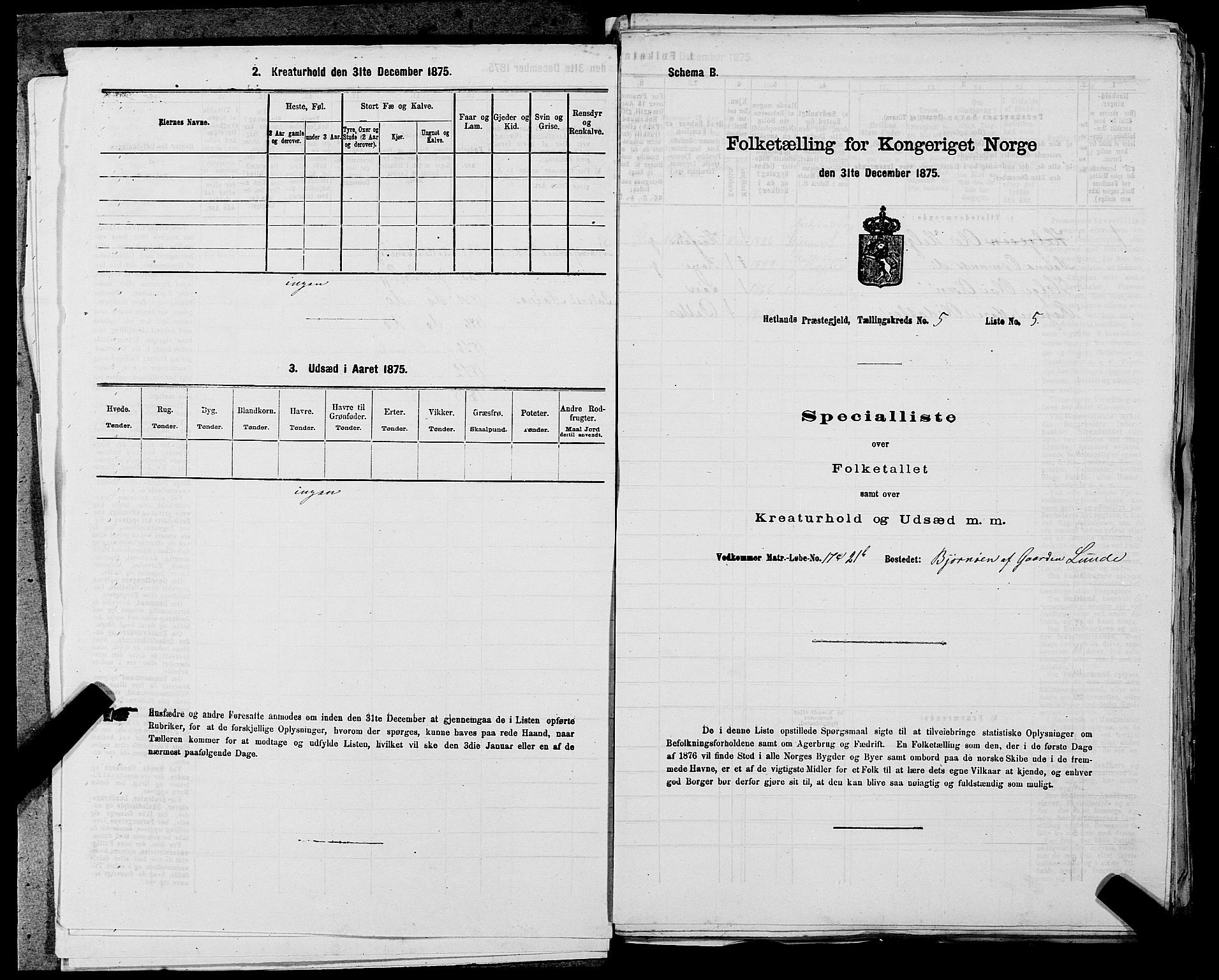 SAST, 1875 census for 1126P Hetland, 1875, p. 1060