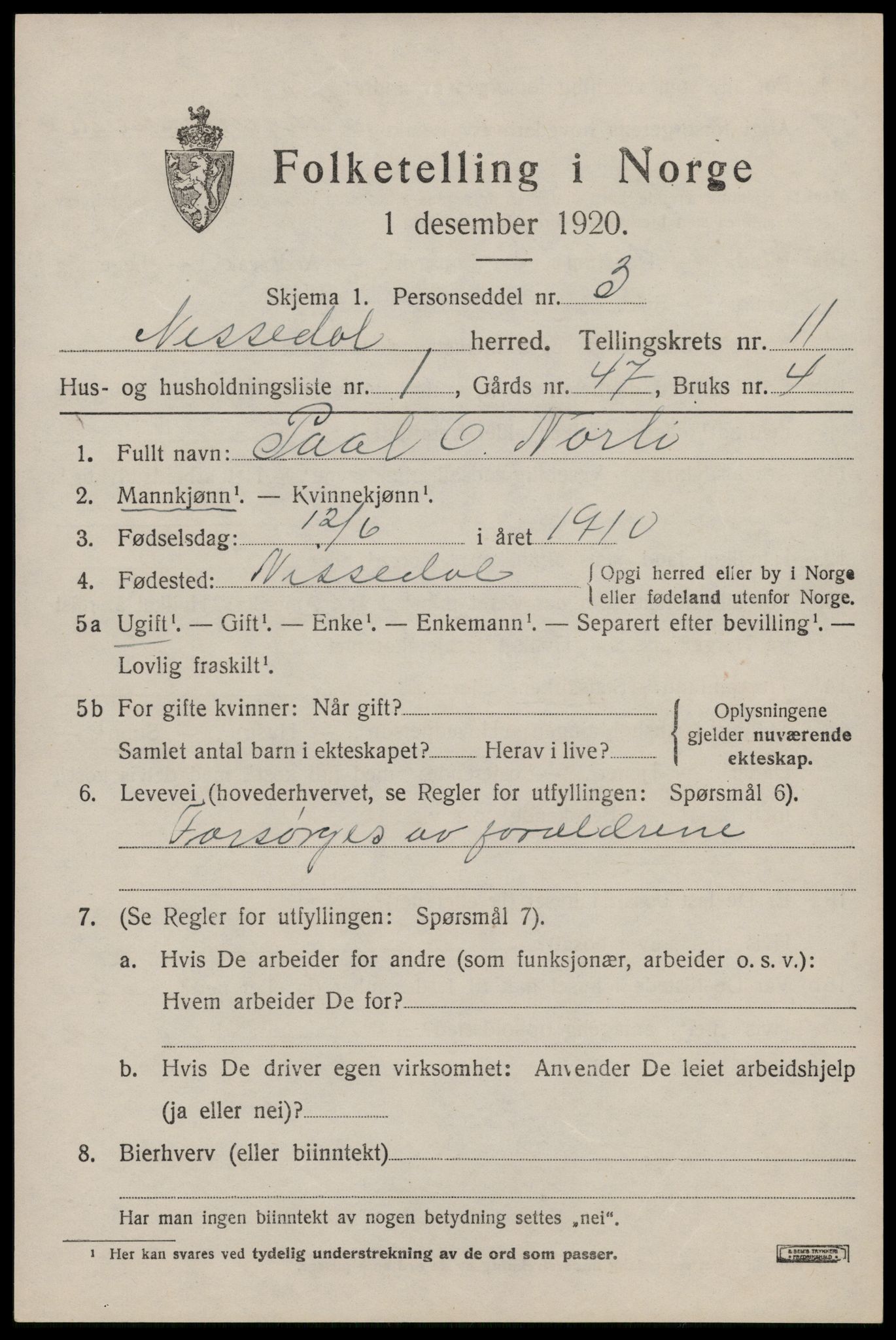 SAKO, 1920 census for Nissedal, 1920, p. 4399