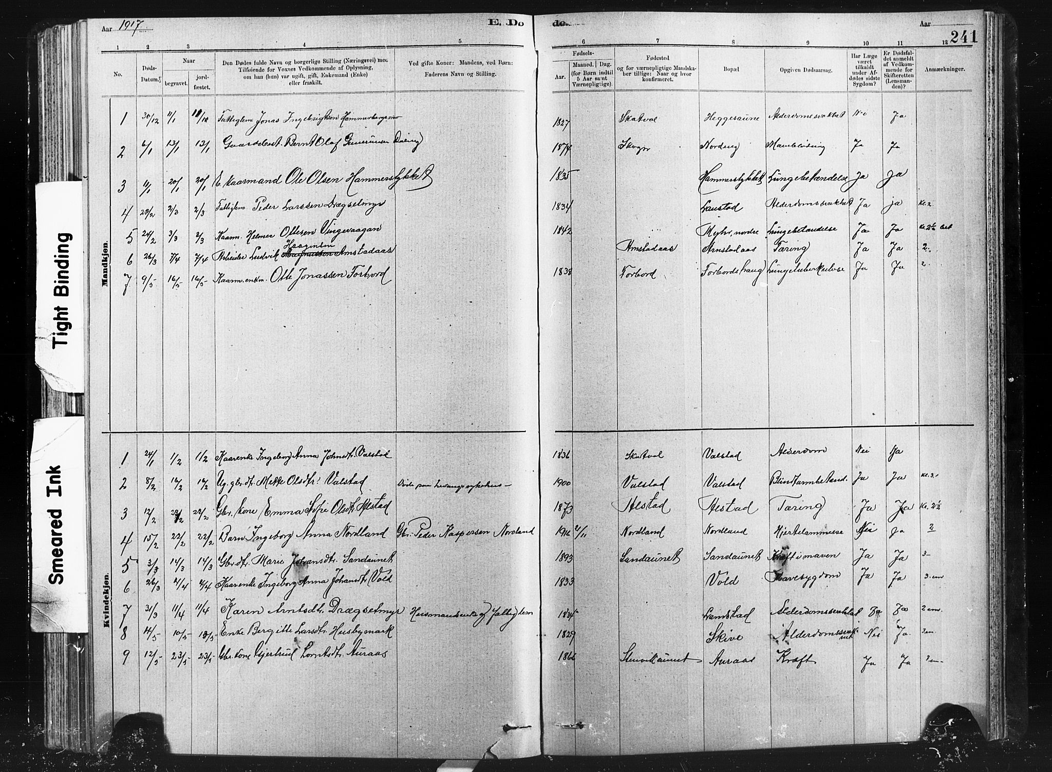 Ministerialprotokoller, klokkerbøker og fødselsregistre - Nord-Trøndelag, SAT/A-1458/712/L0103: Parish register (copy) no. 712C01, 1878-1917, p. 241