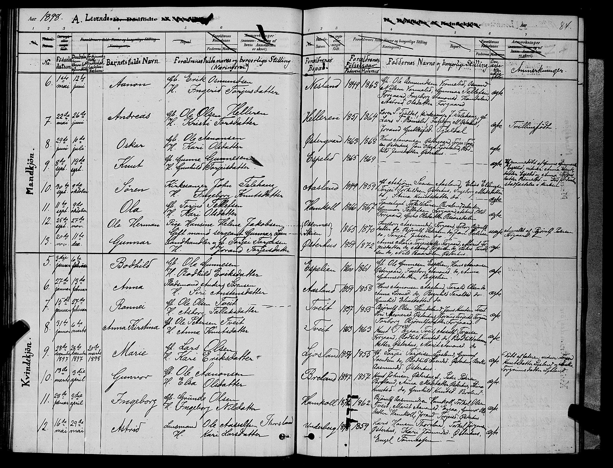 Åseral sokneprestkontor, AV/SAK-1111-0051/F/Fb/L0002: Parish register (copy) no. B 2, 1878-1899, p. 84