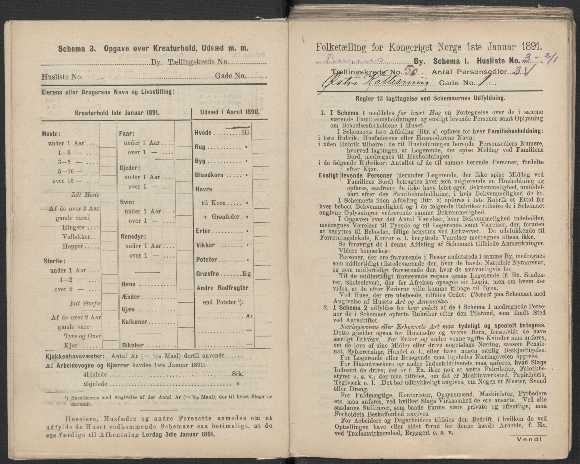 RA, 1891 Census for 1301 Bergen, 1891, p. 8147