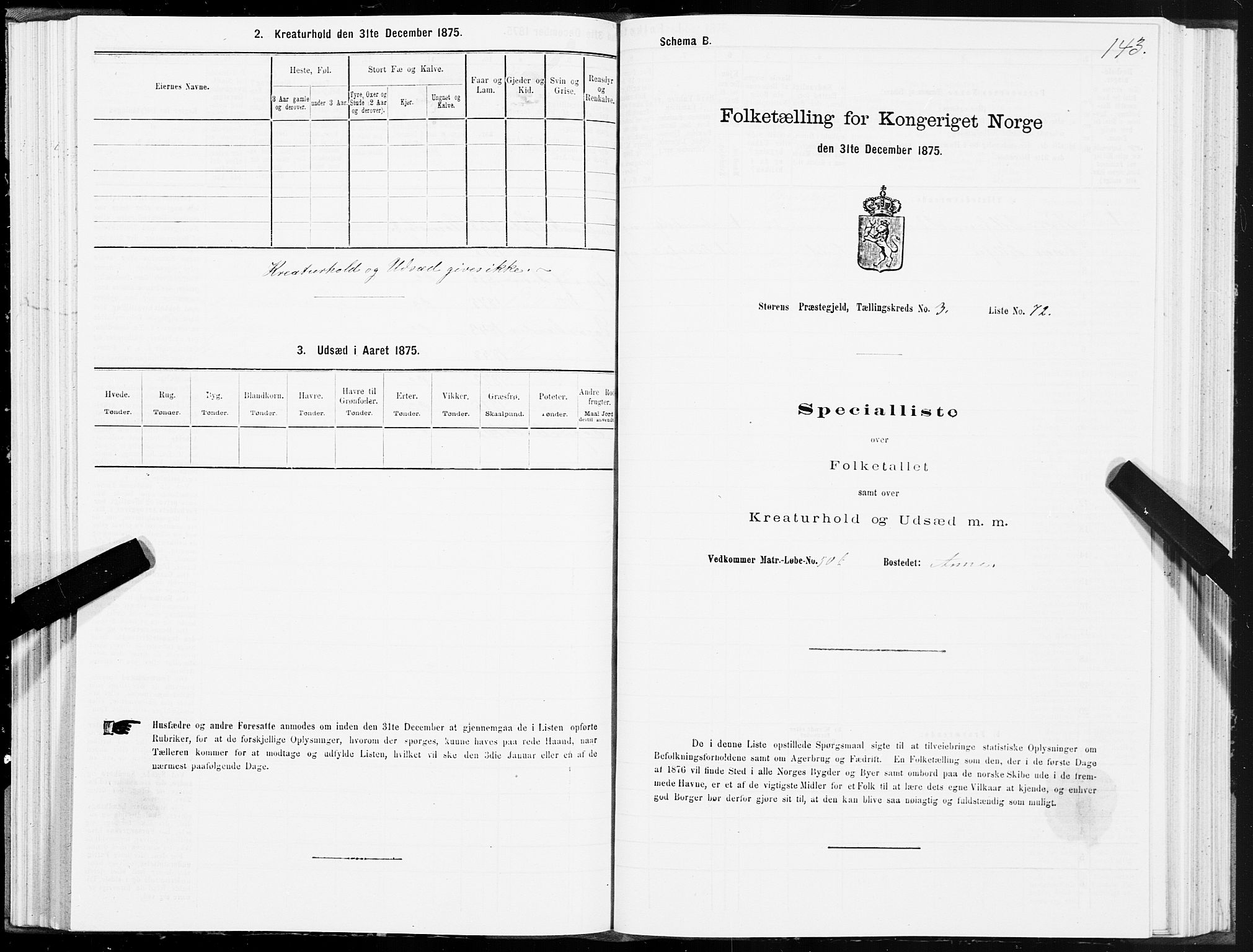 SAT, 1875 census for 1648P Støren, 1875, p. 2143