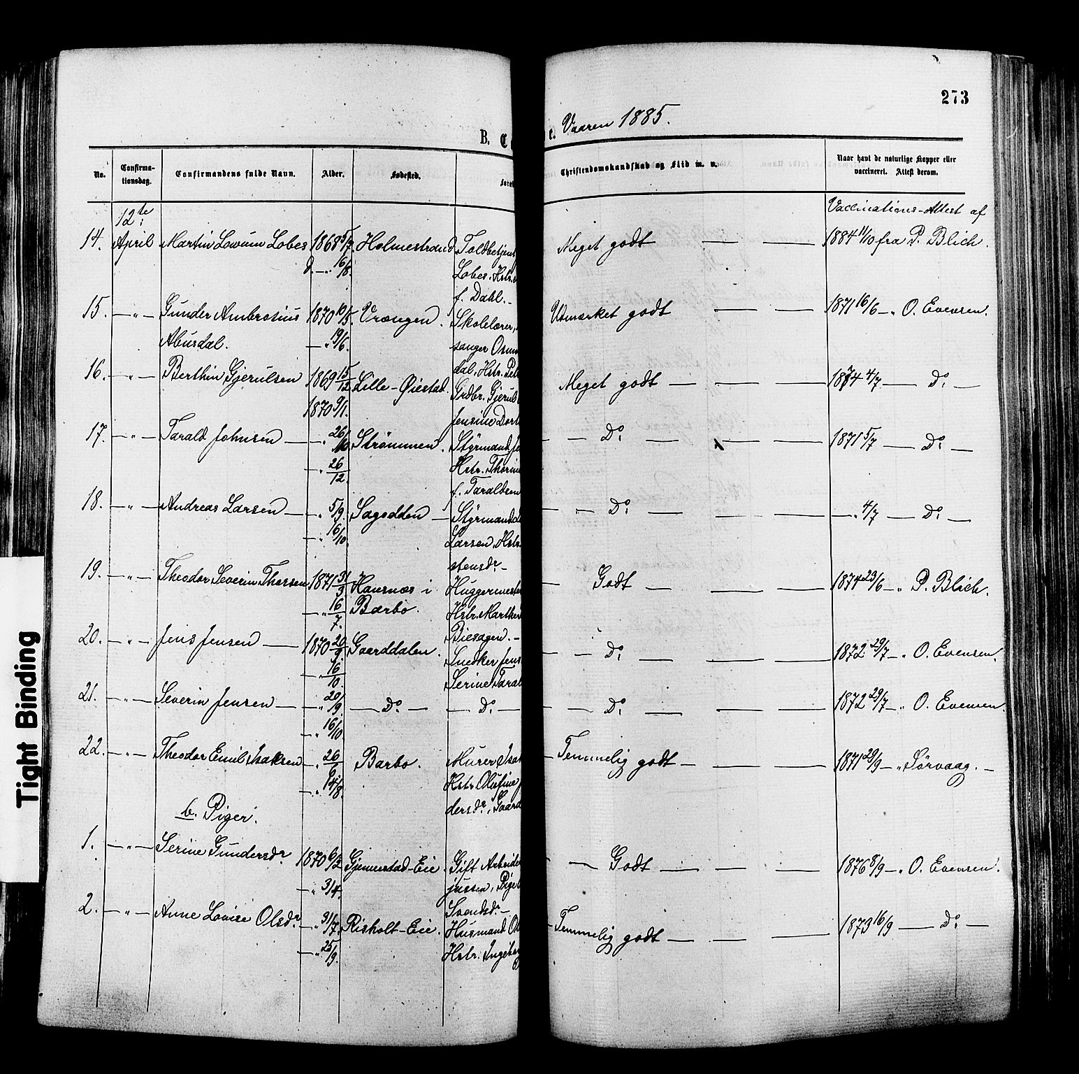 Øyestad sokneprestkontor, AV/SAK-1111-0049/F/Fa/L0016: Parish register (official) no. A 16, 1874-1886, p. 273