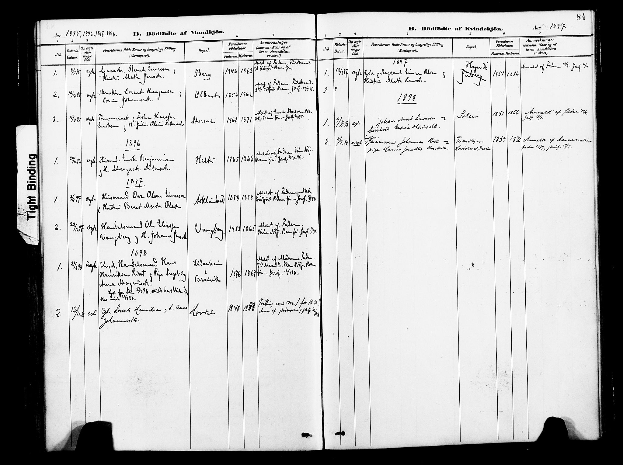 Ministerialprotokoller, klokkerbøker og fødselsregistre - Nord-Trøndelag, SAT/A-1458/713/L0121: Parish register (official) no. 713A10, 1888-1898, p. 84
