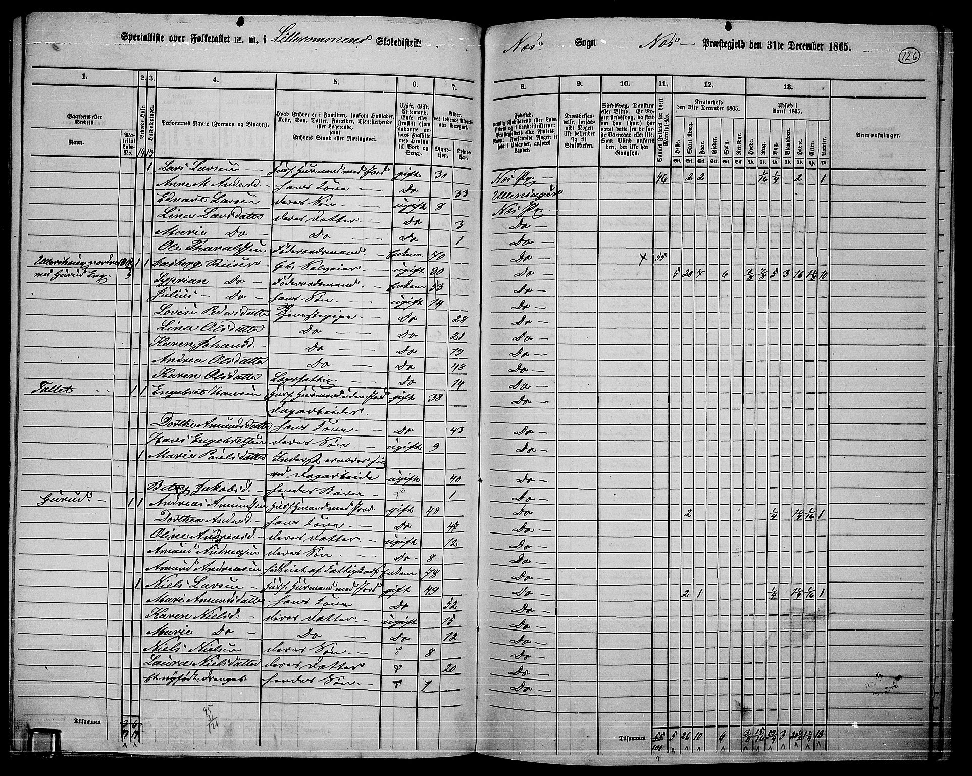 RA, 1865 census for Nes, 1865, p. 113