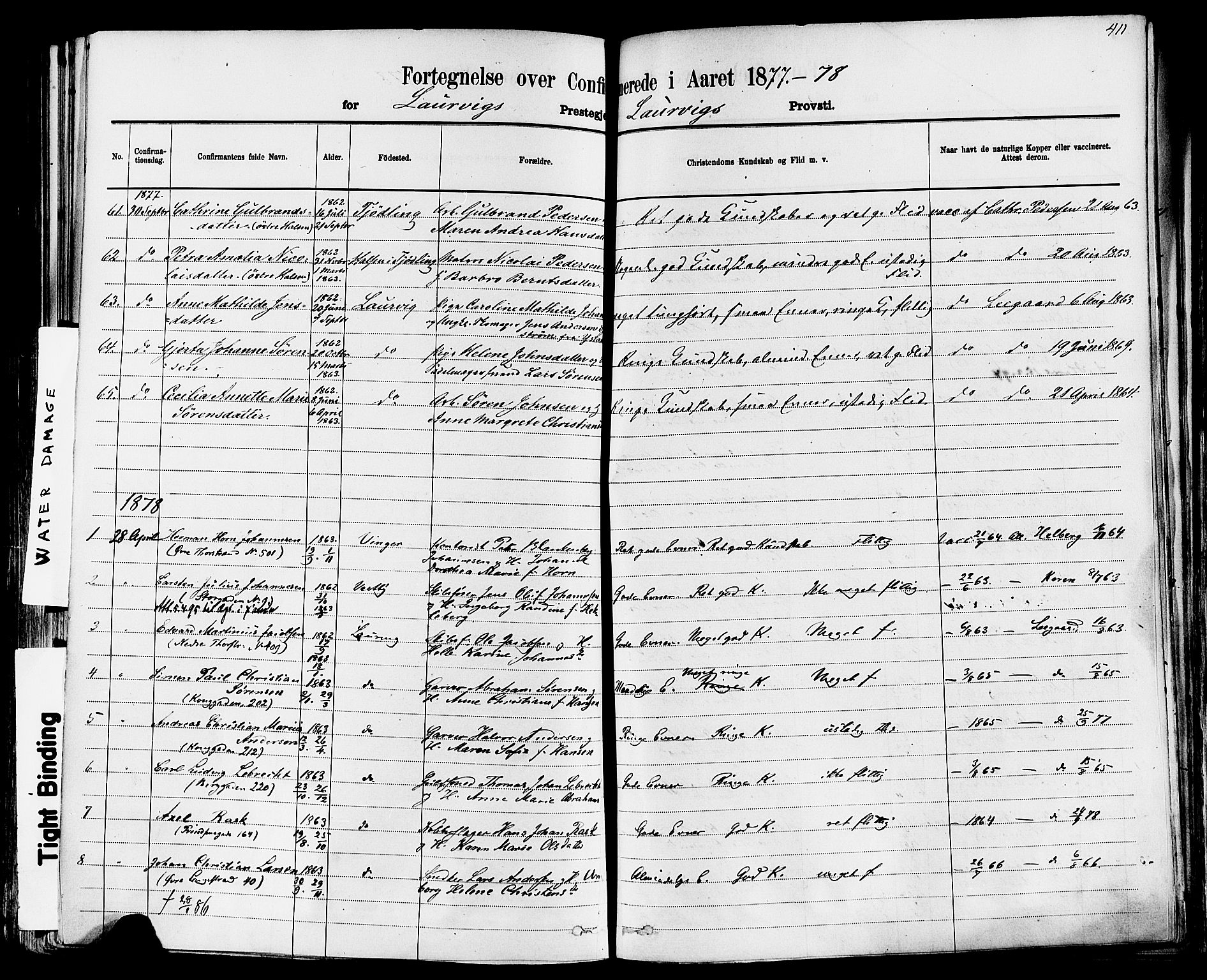 Larvik kirkebøker, AV/SAKO-A-352/F/Fa/L0006: Parish register (official) no. I 6, 1871-1883, p. 411