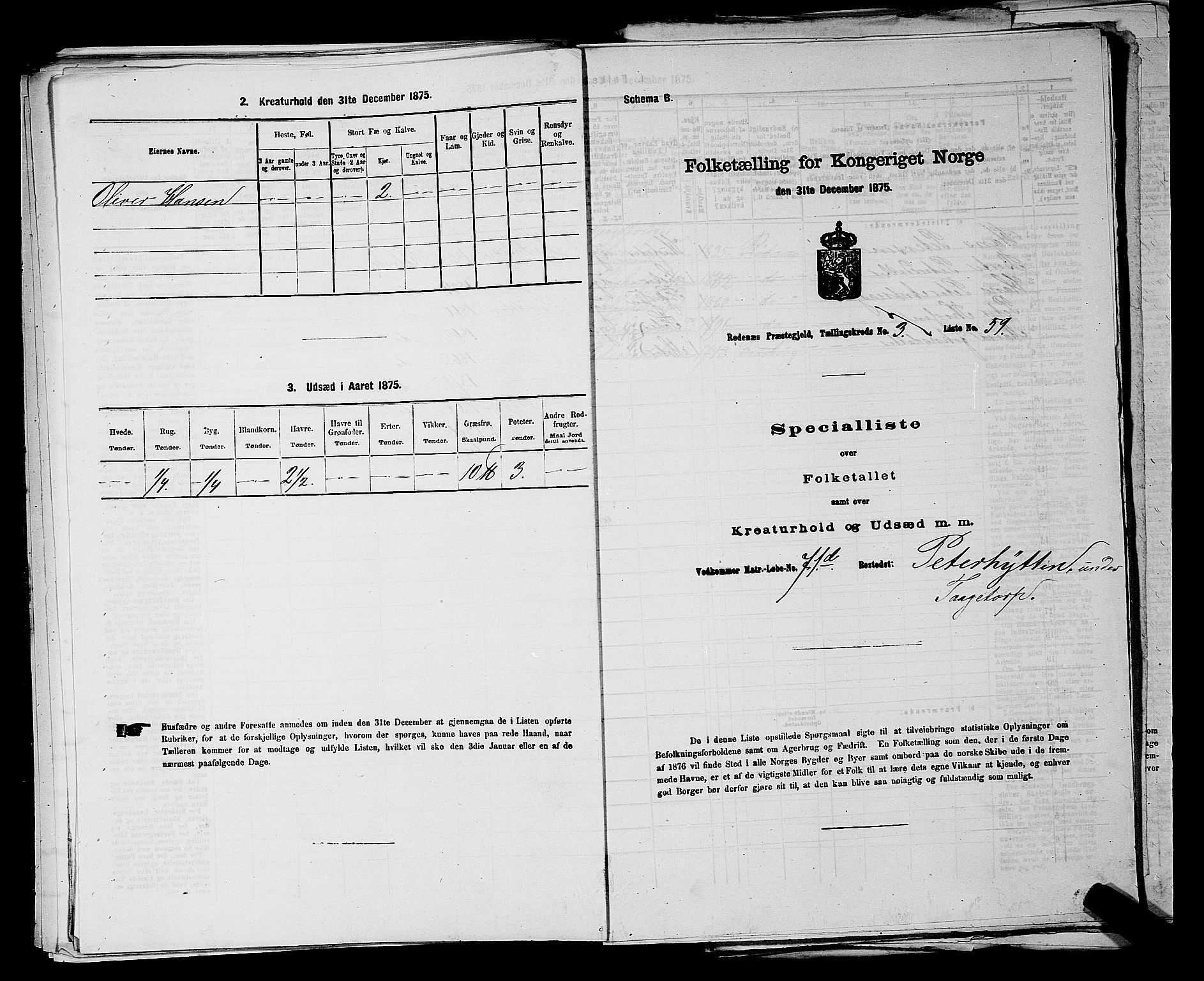 RA, 1875 census for 0120P Rødenes, 1875, p. 478
