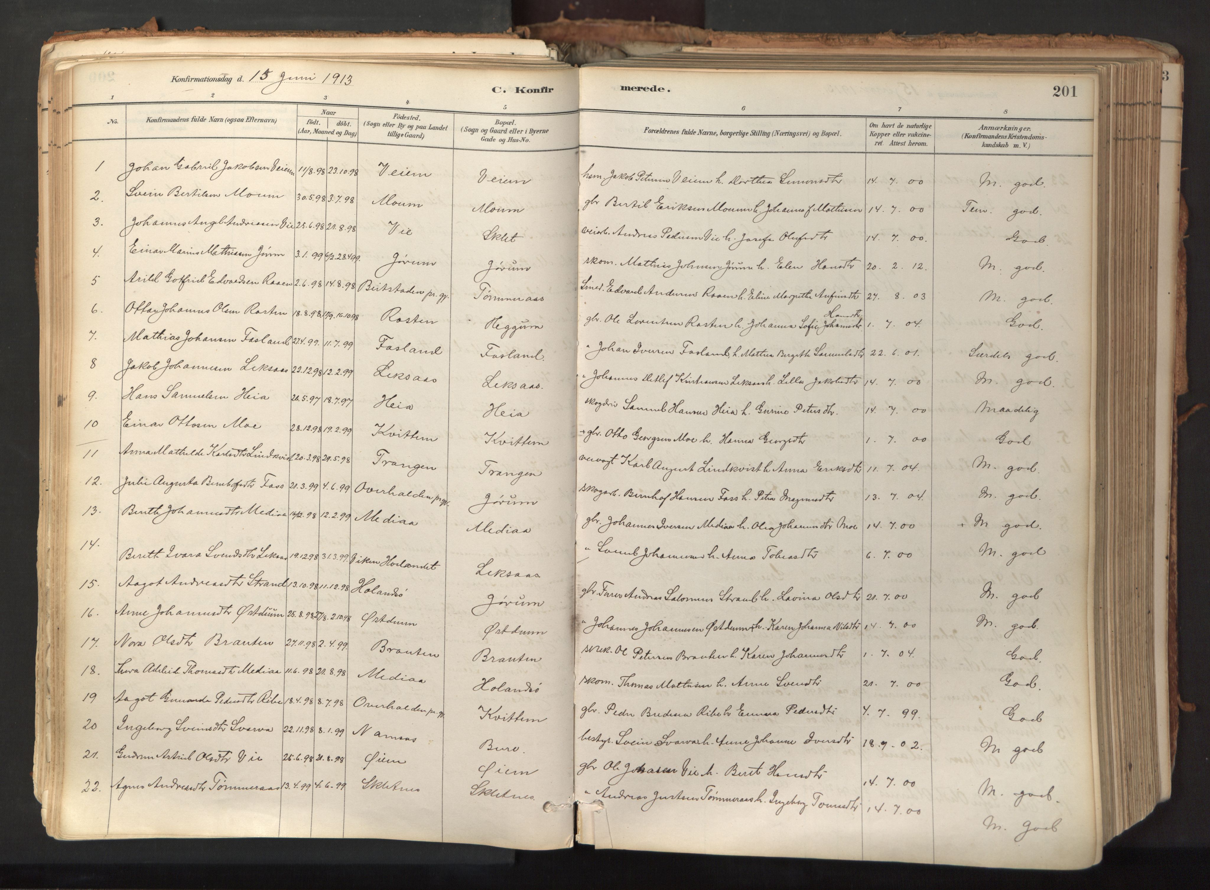 Ministerialprotokoller, klokkerbøker og fødselsregistre - Nord-Trøndelag, SAT/A-1458/758/L0519: Parish register (official) no. 758A04, 1880-1926, p. 201