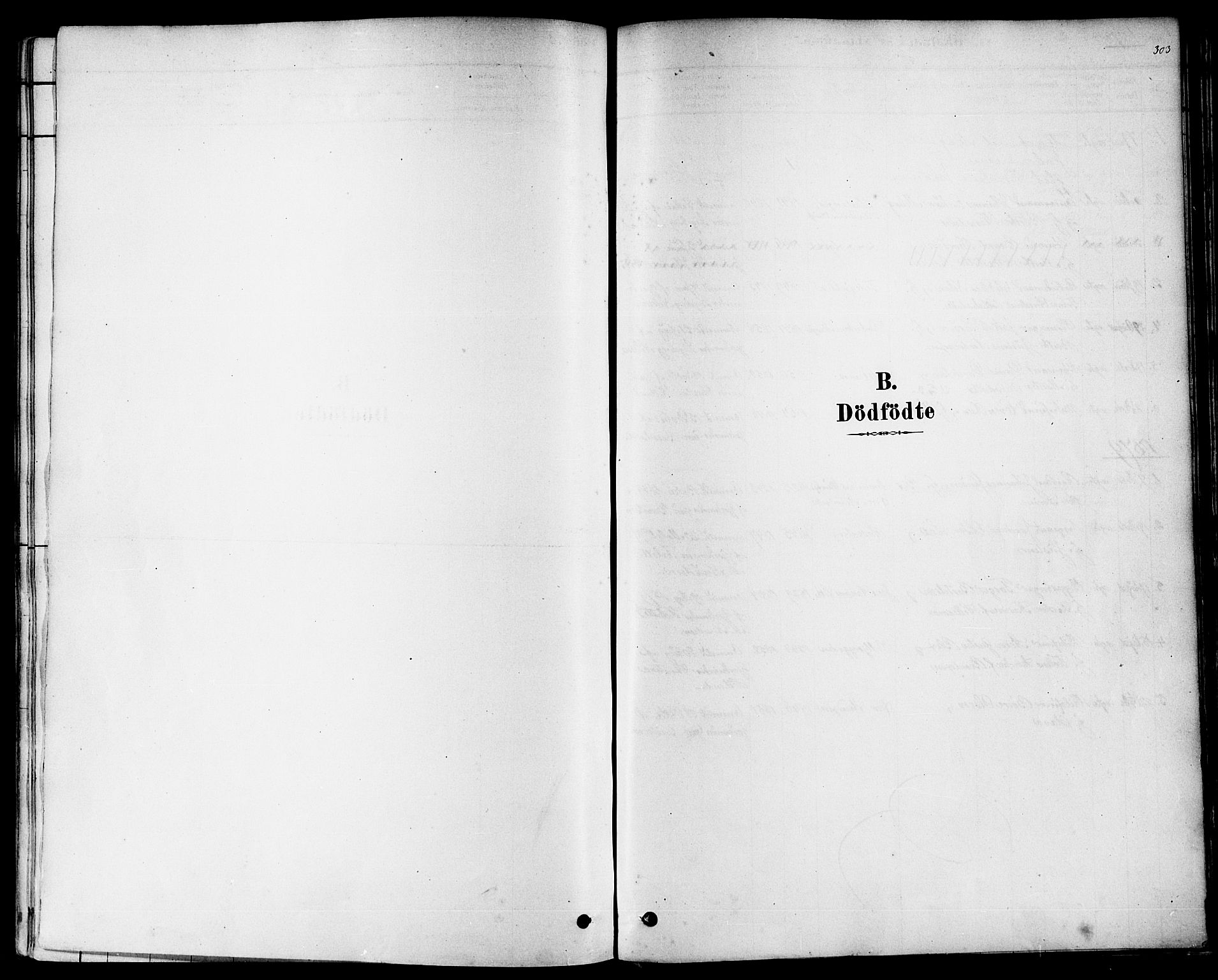 Domkirken sokneprestkontor, SAST/A-101812/001/30/30BA/L0026: Parish register (official) no. A 25, 1878-1889, p. 303