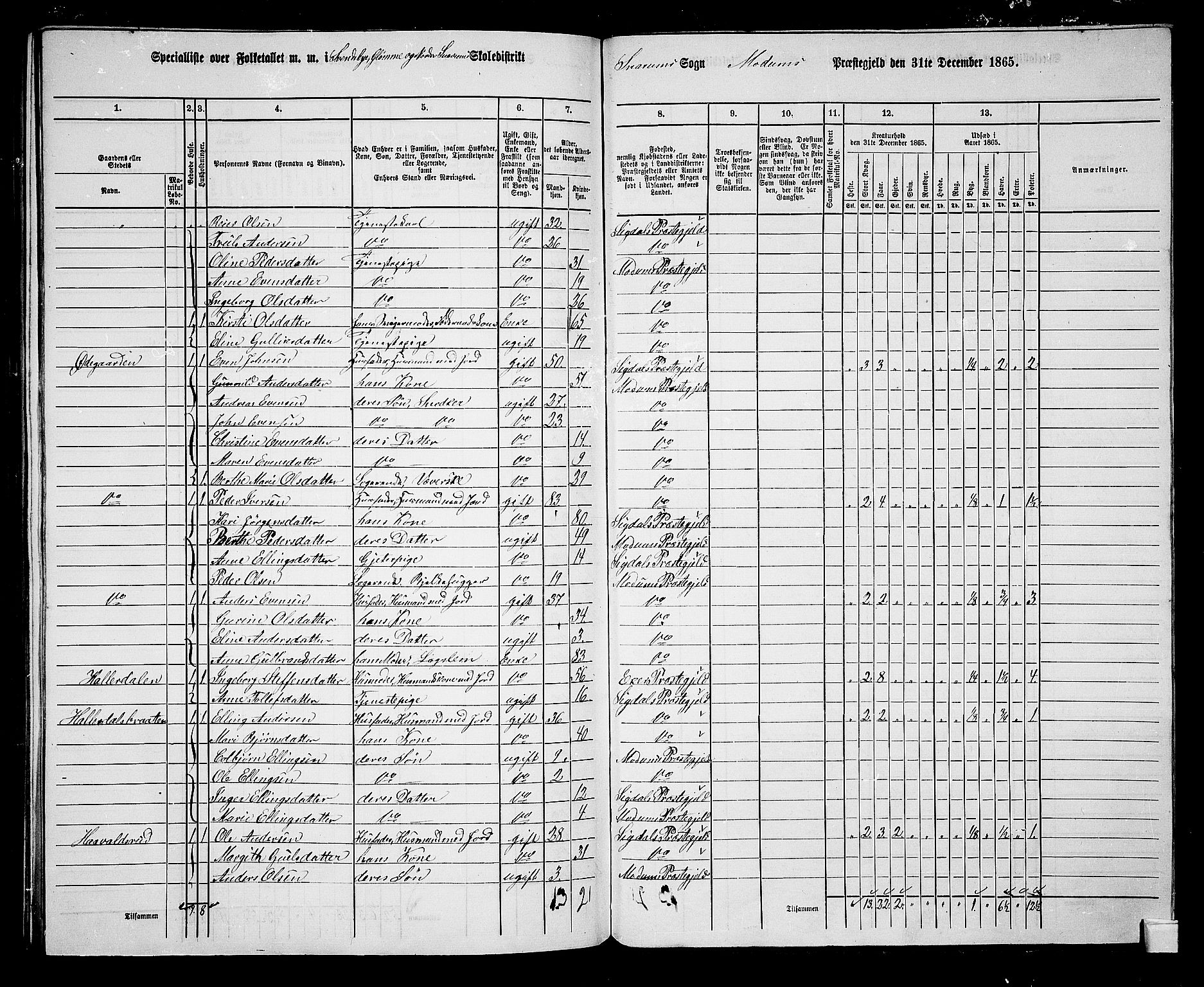 RA, 1865 census for Modum, 1865, p. 315