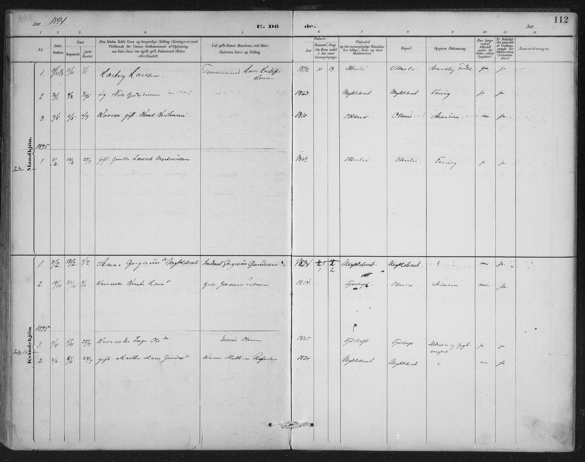 Ministerialprotokoller, klokkerbøker og fødselsregistre - Møre og Romsdal, SAT/A-1454/538/L0522: Parish register (official) no. 538A01, 1884-1913, p. 112