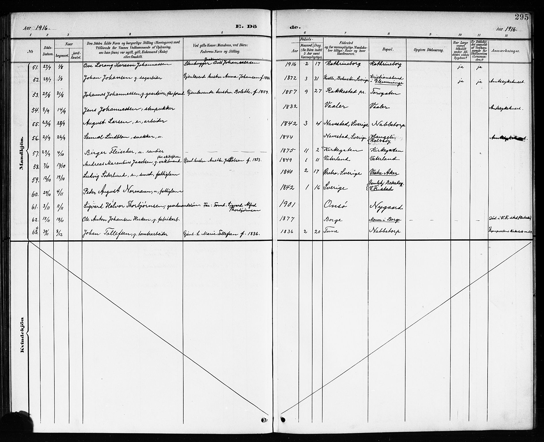 Østre Fredrikstad prestekontor Kirkebøker, AV/SAO-A-10907/G/Ga/L0002: Parish register (copy) no. 2, 1900-1919, p. 295