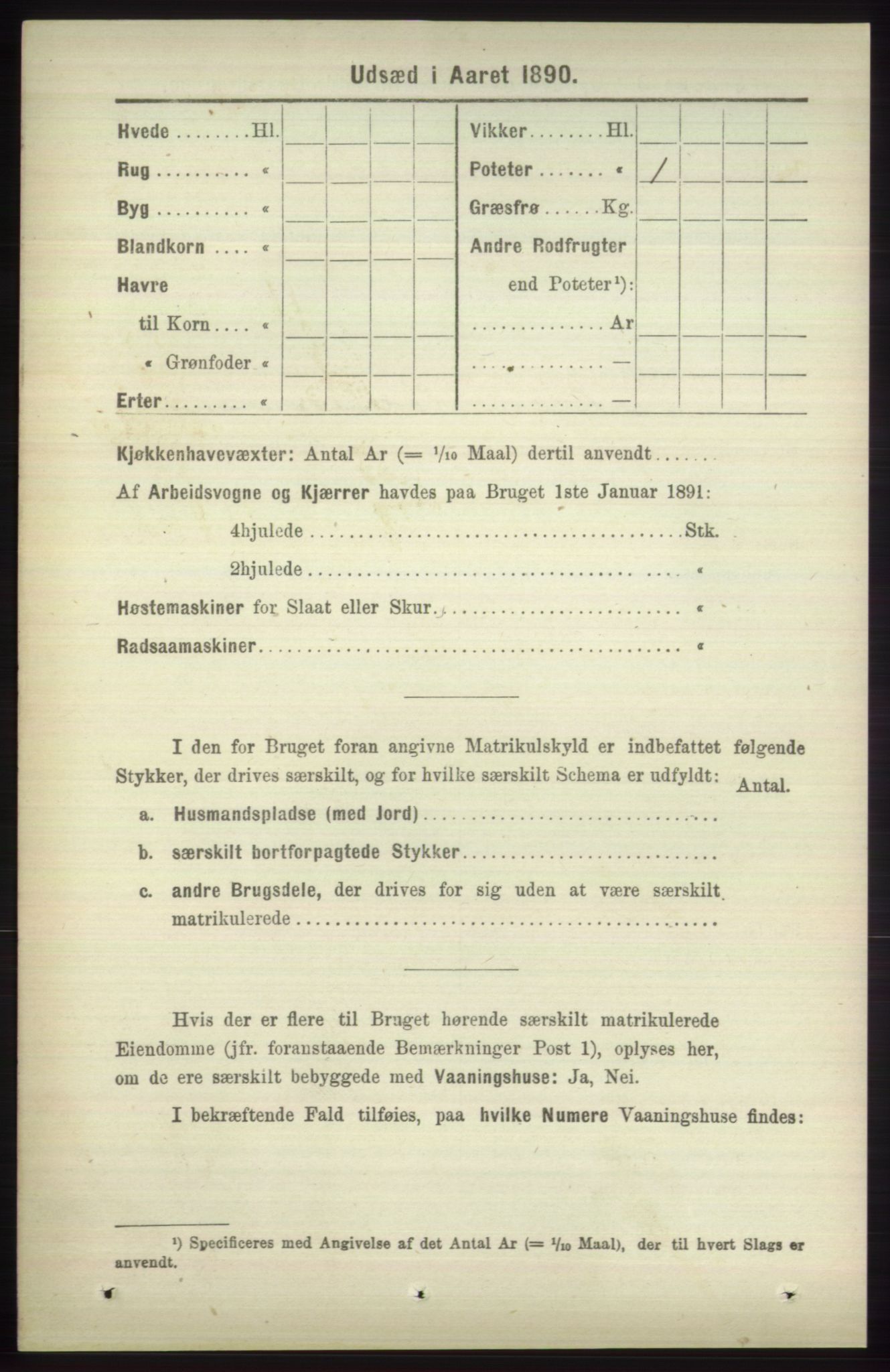 RA, 1891 census for 1251 Bruvik, 1891, p. 4808