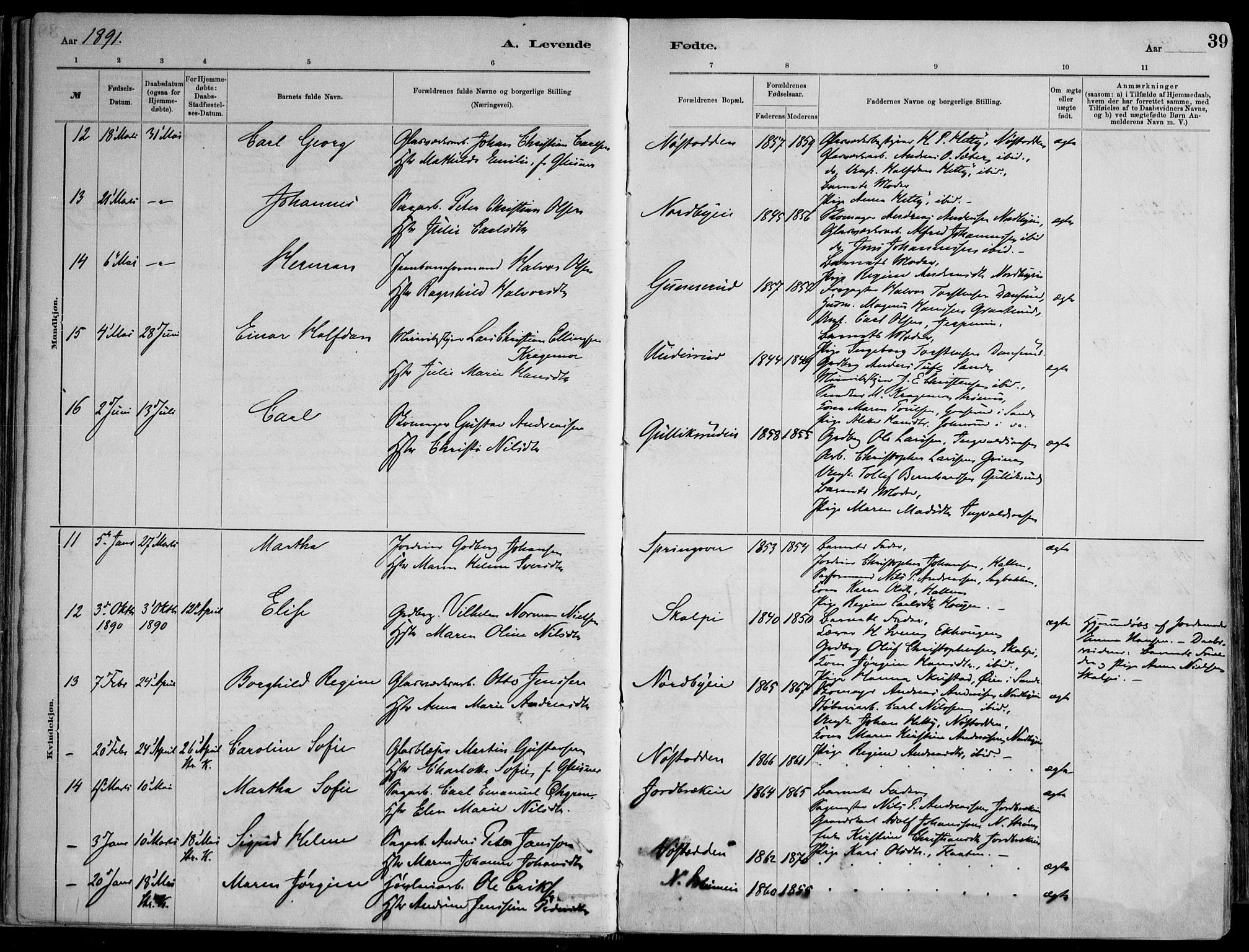 Skoger kirkebøker, AV/SAKO-A-59/F/Fa/L0006: Parish register (official) no. I 6, 1885-1910, p. 39