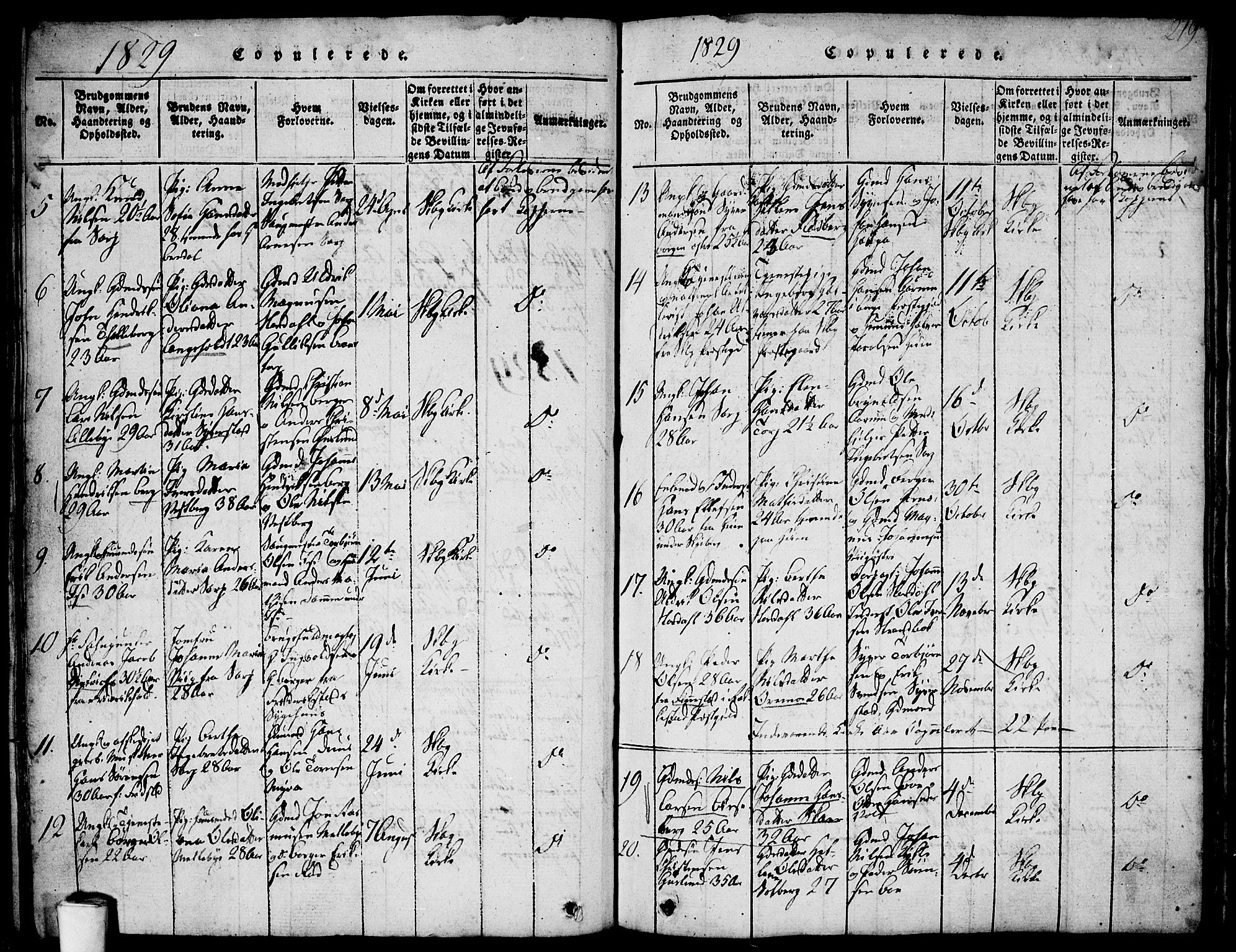 Skjeberg prestekontor Kirkebøker, AV/SAO-A-10923/F/Fa/L0004: Parish register (official) no. I 4, 1815-1830, p. 219