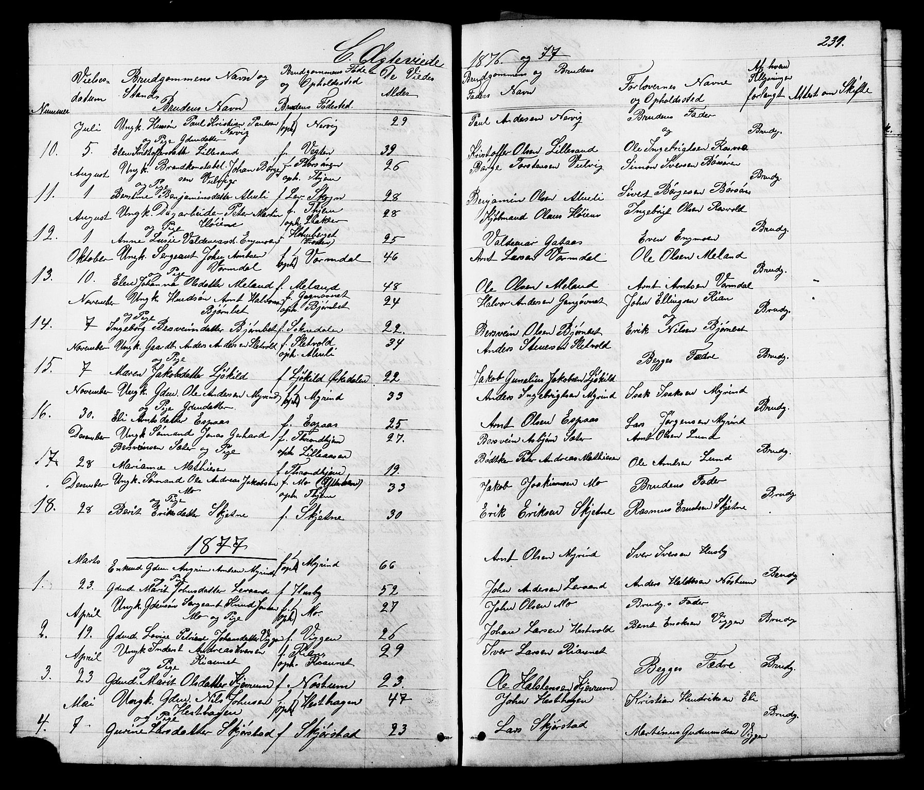 Ministerialprotokoller, klokkerbøker og fødselsregistre - Sør-Trøndelag, SAT/A-1456/665/L0777: Parish register (copy) no. 665C02, 1867-1915, p. 231