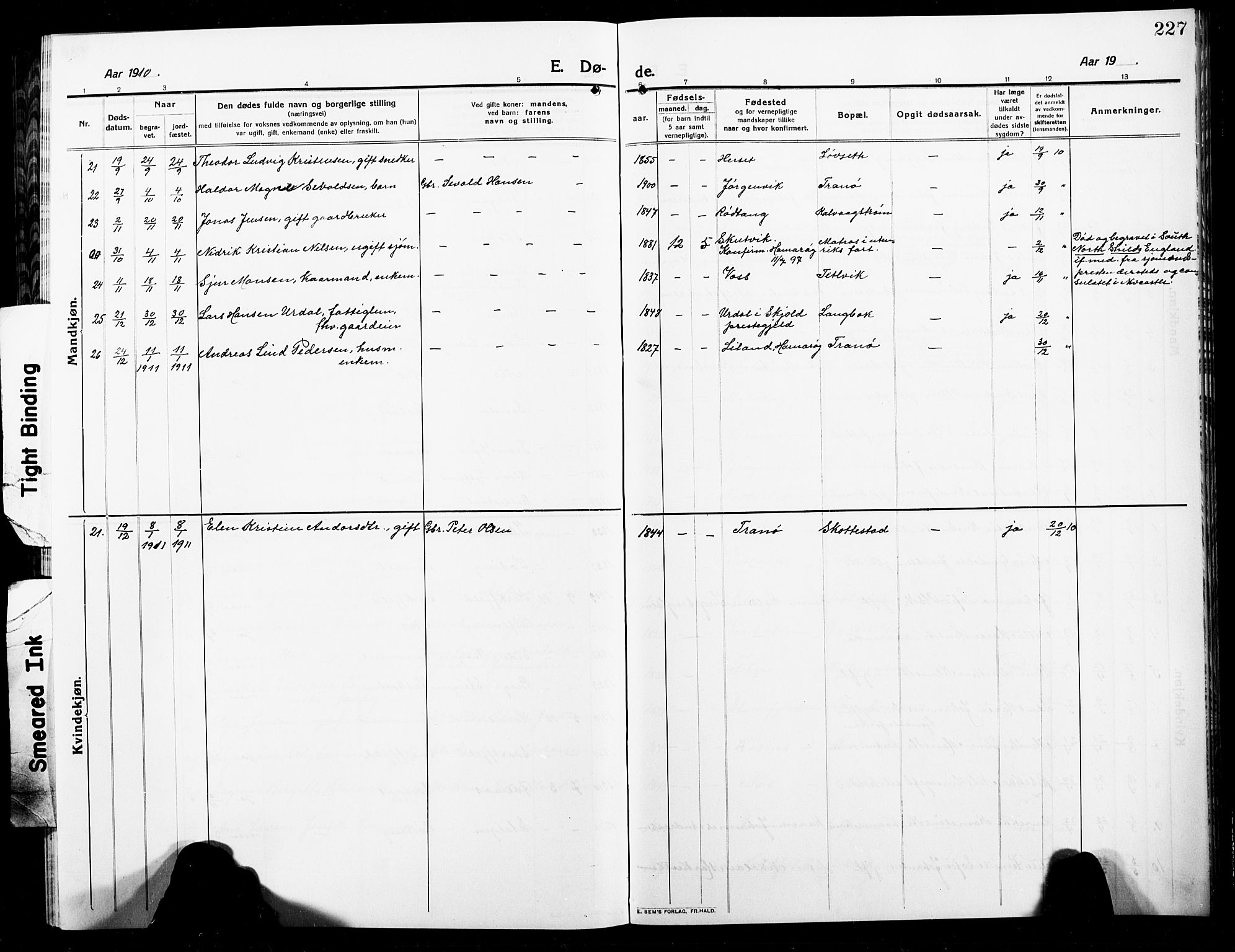 Ministerialprotokoller, klokkerbøker og fødselsregistre - Nordland, AV/SAT-A-1459/859/L0861: Parish register (copy) no. 859C07, 1910-1925, p. 227