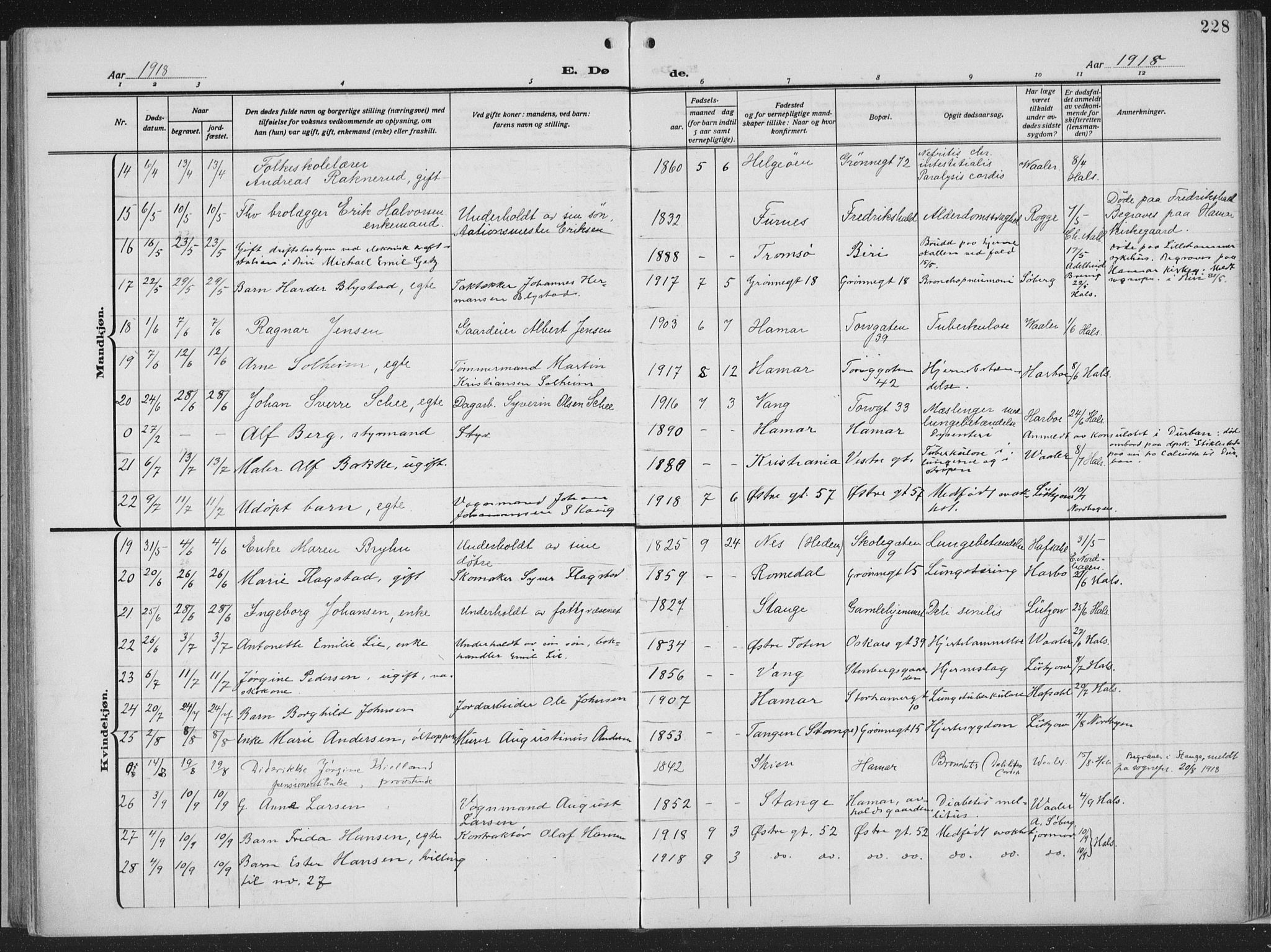 Hamar prestekontor, AV/SAH-DOMPH-002/H/Ha/Haa/L0002: Parish register (official) no. 2, 1915-1936, p. 228