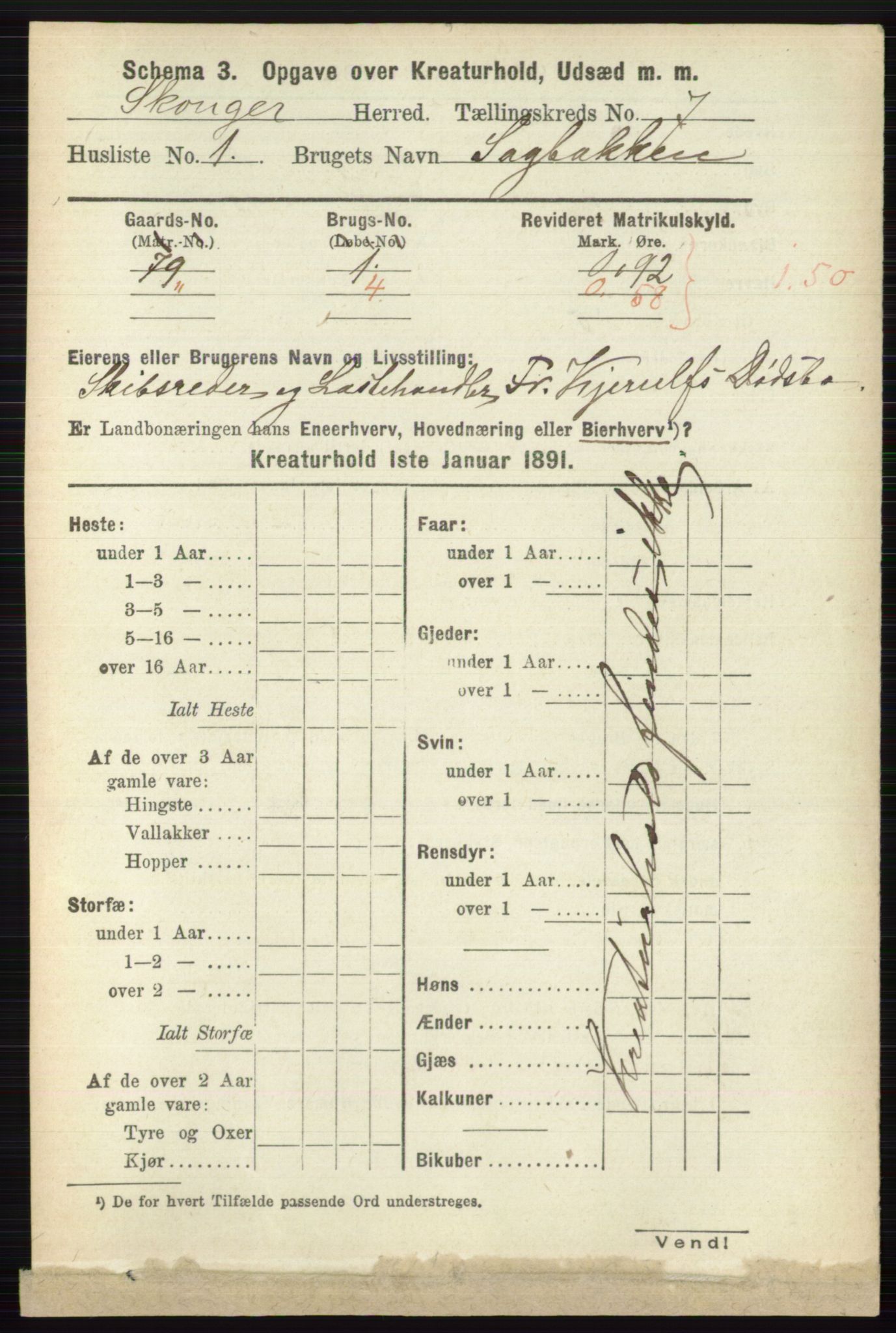 RA, 1891 census for 0712 Skoger, 1891, p. 5207