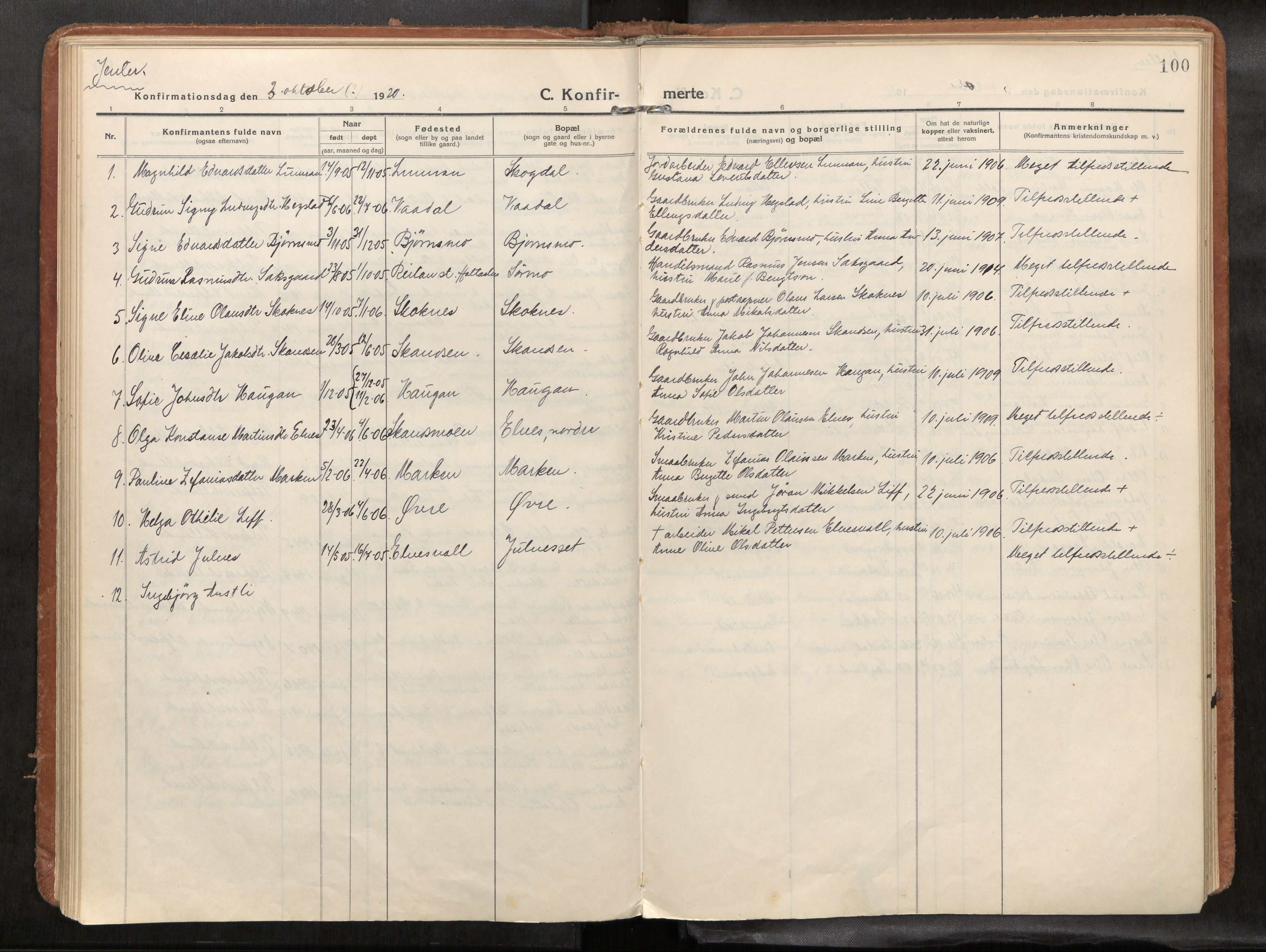 Verdal sokneprestkontor, SAT/A-1156/2/H/Haa/L0004: Parish register (official) no. 4, 1916-1928, p. 100