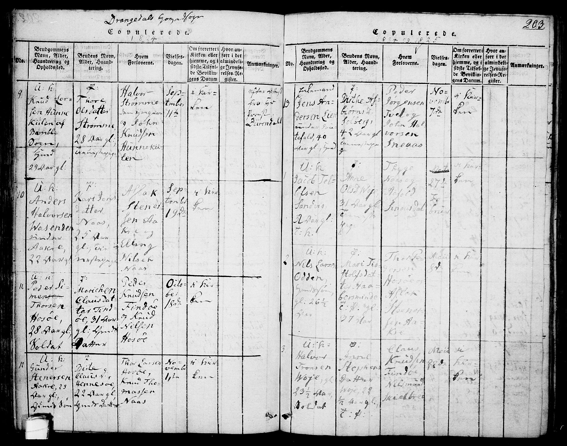 Drangedal kirkebøker, AV/SAKO-A-258/F/Fa/L0005: Parish register (official) no. 5 /1, 1814-1831, p. 203
