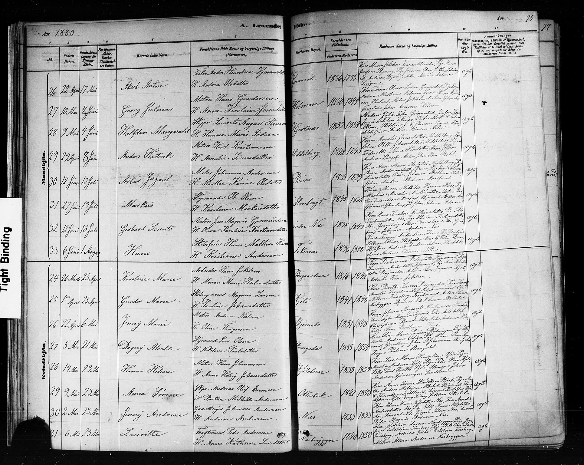 Nøtterøy kirkebøker, AV/SAKO-A-354/F/Fa/L0008: Parish register (official) no. I 8, 1878-1893, p. 25