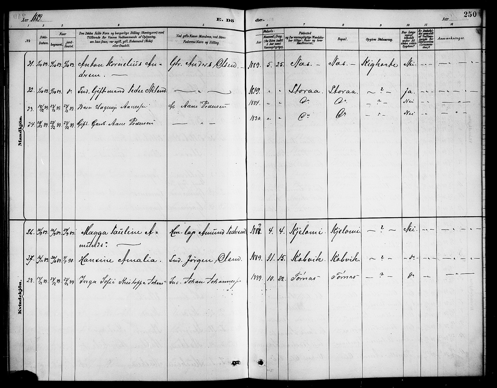 Ministerialprotokoller, klokkerbøker og fødselsregistre - Nordland, AV/SAT-A-1459/861/L0876: Parish register (copy) no. 861C02, 1887-1903, p. 250