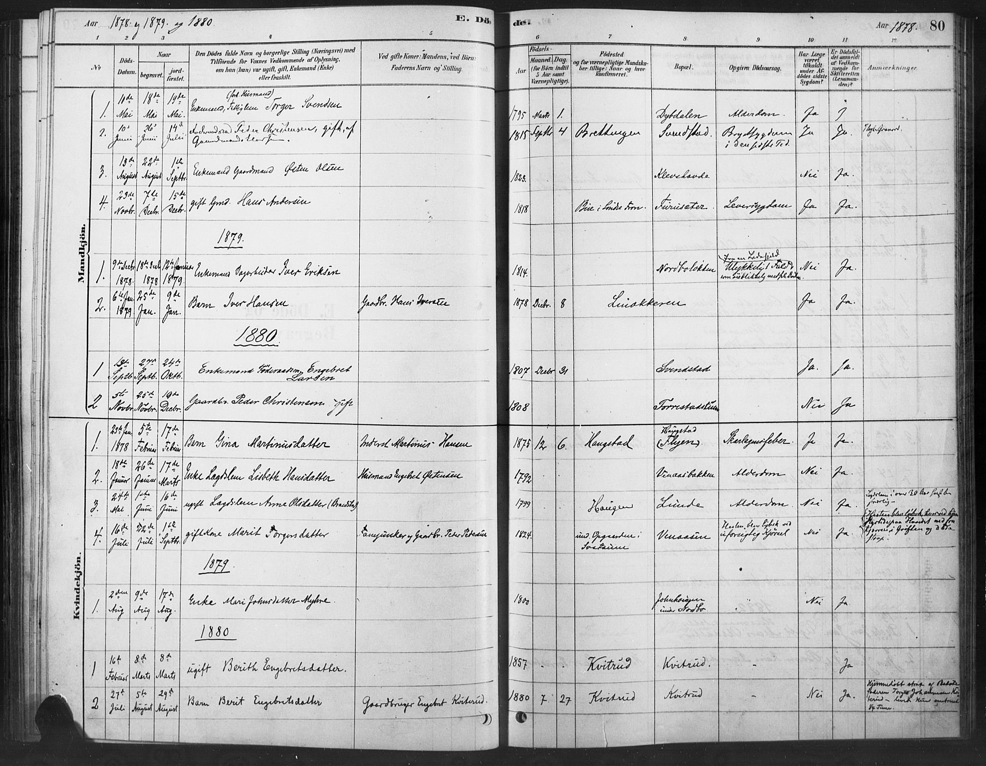 Ringebu prestekontor, SAH/PREST-082/H/Ha/Haa/L0010: Parish register (official) no. 10, 1878-1898, p. 80