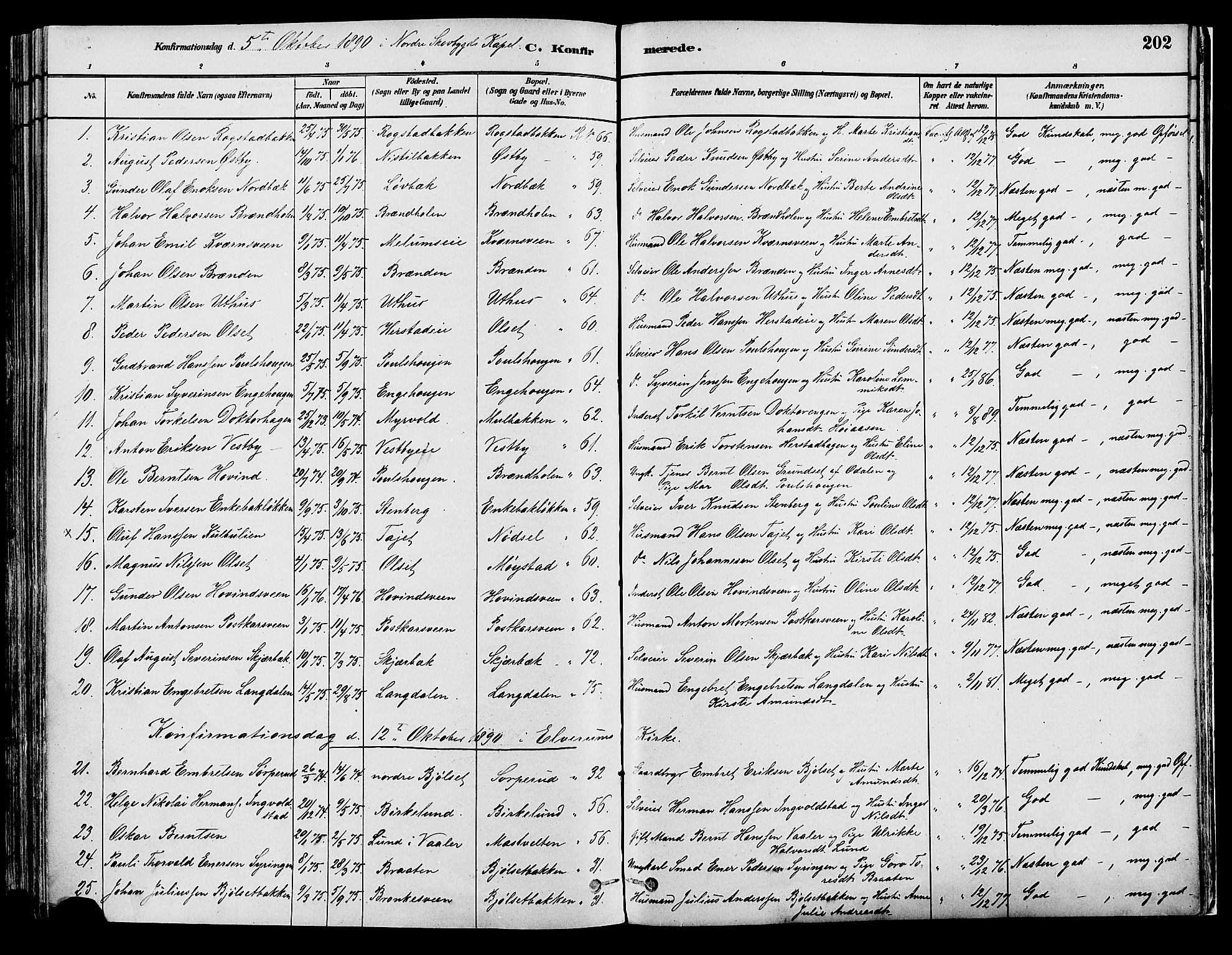 Elverum prestekontor, AV/SAH-PREST-044/H/Ha/Haa/L0013: Parish register (official) no. 13, 1880-1890, p. 202