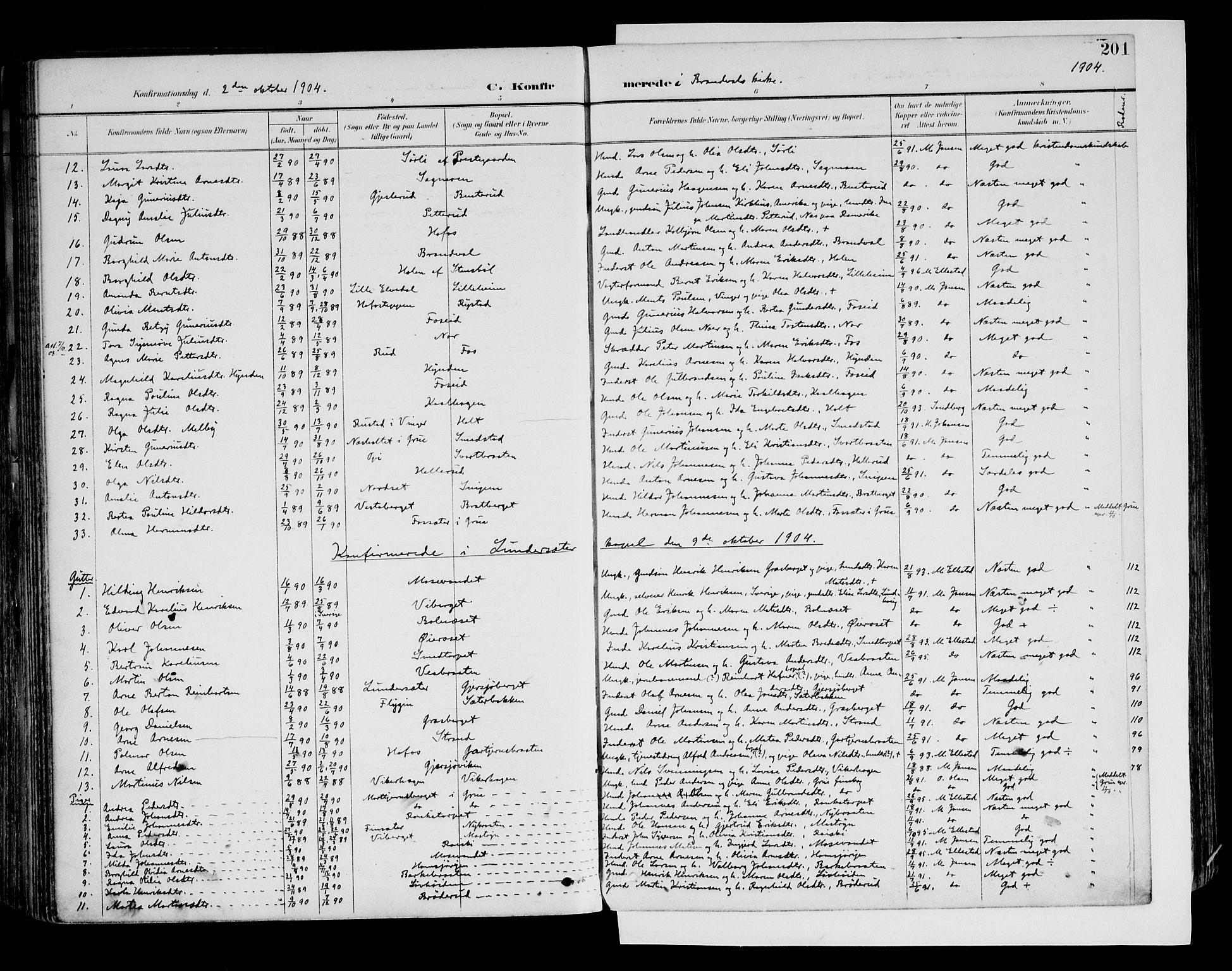 Brandval prestekontor, AV/SAH-PREST-034/H/Ha/Haa/L0003: Parish register (official) no. 3, 1894-1909, p. 201