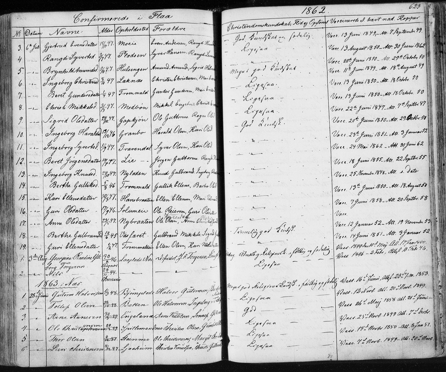 Nes kirkebøker, AV/SAKO-A-236/F/Fa/L0009: Parish register (official) no. 9, 1834-1863, p. 623